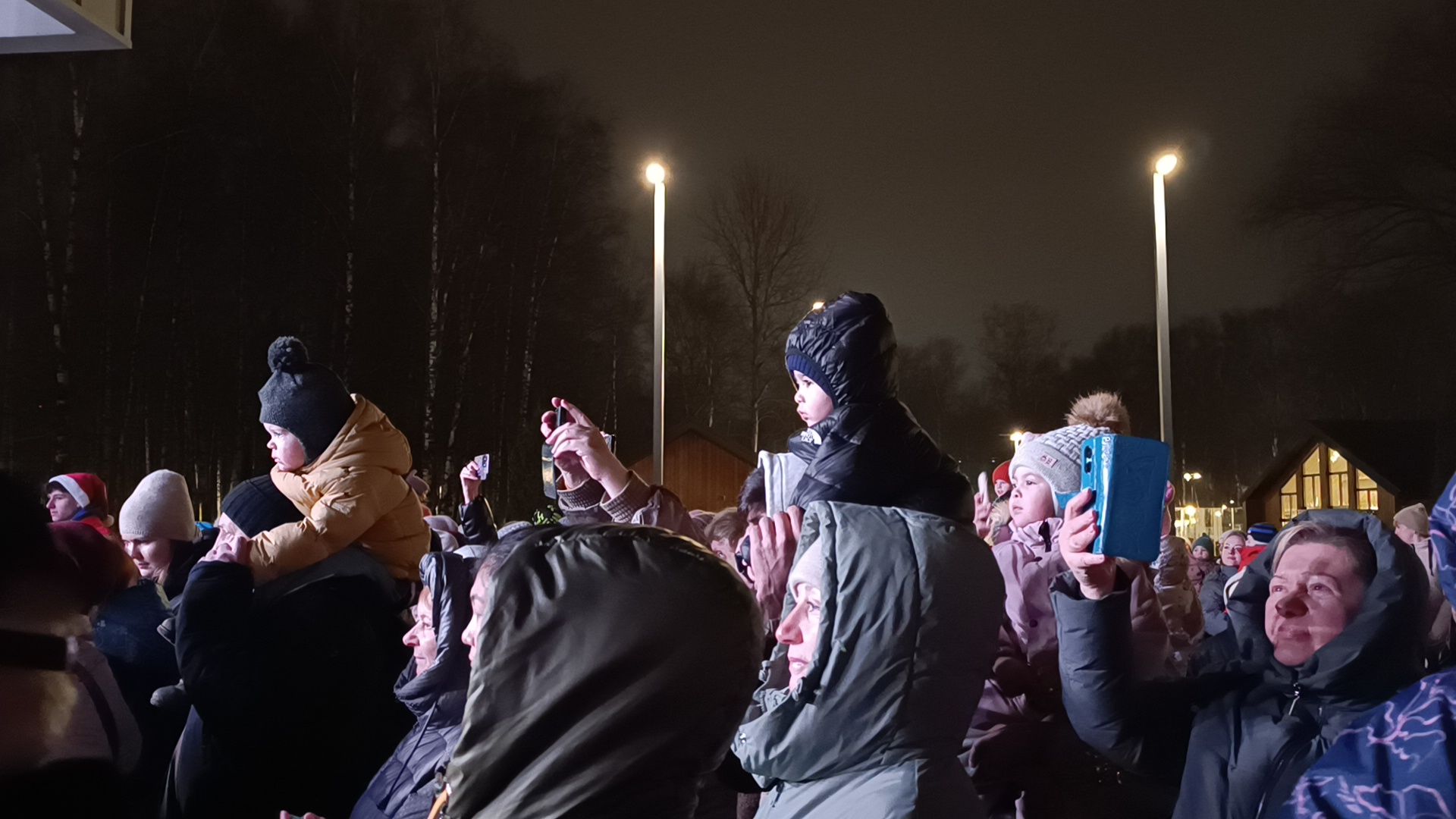 зима в  подмосковье, парк, лобня,