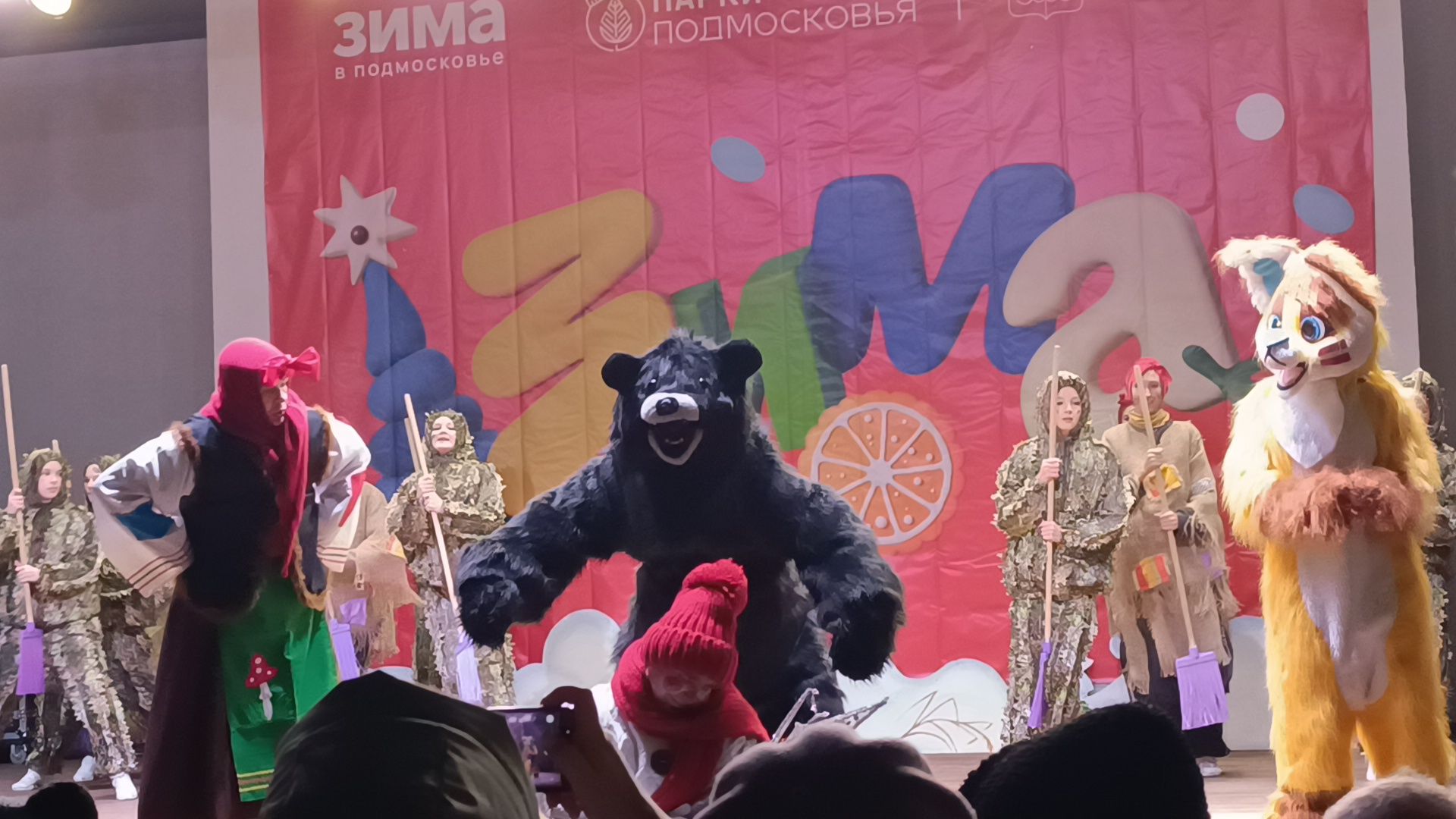 зима в  подмосковье, парк, лобня,