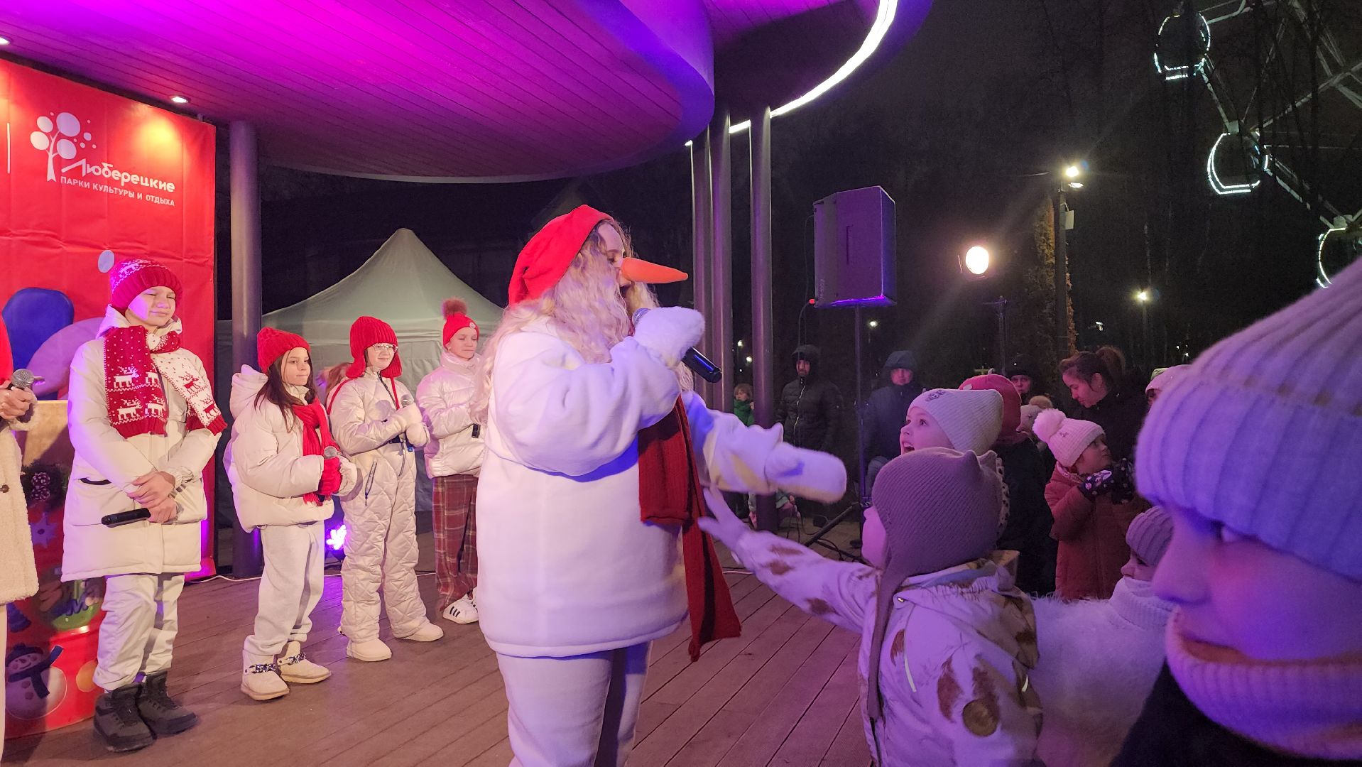 Люберцы, глава люберец владимир волков, новогодняя елка, наташинский парк,