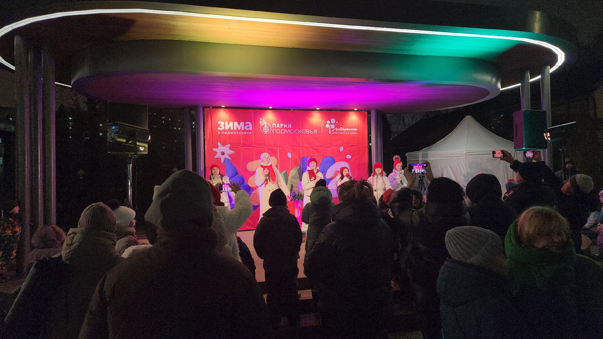 Люберцы, глава люберец владимир волков, новогодняя елка, наташинский парк,