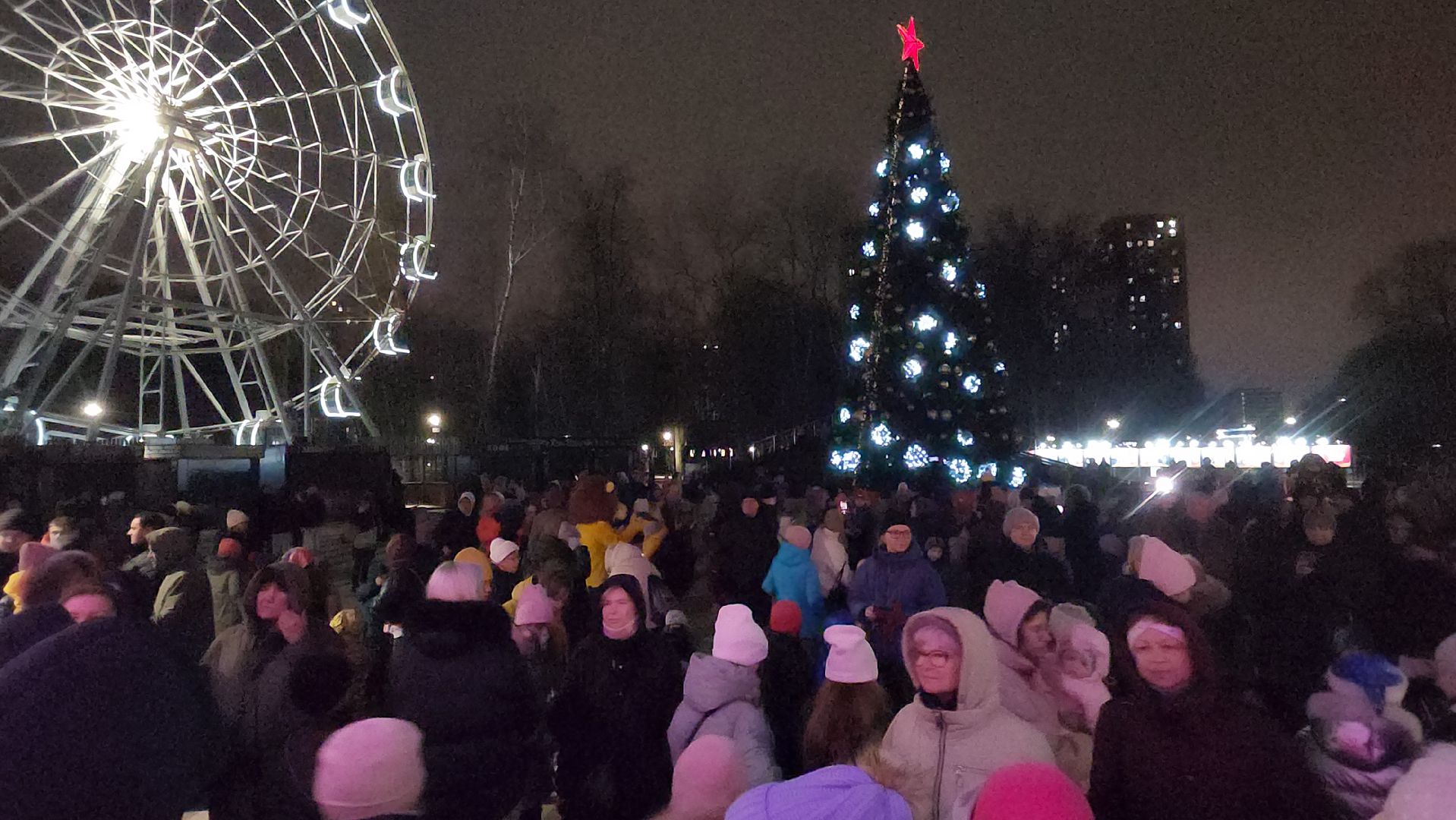 Люберцы, глава люберец владимир волков, новогодняя елка, наташинский парк,