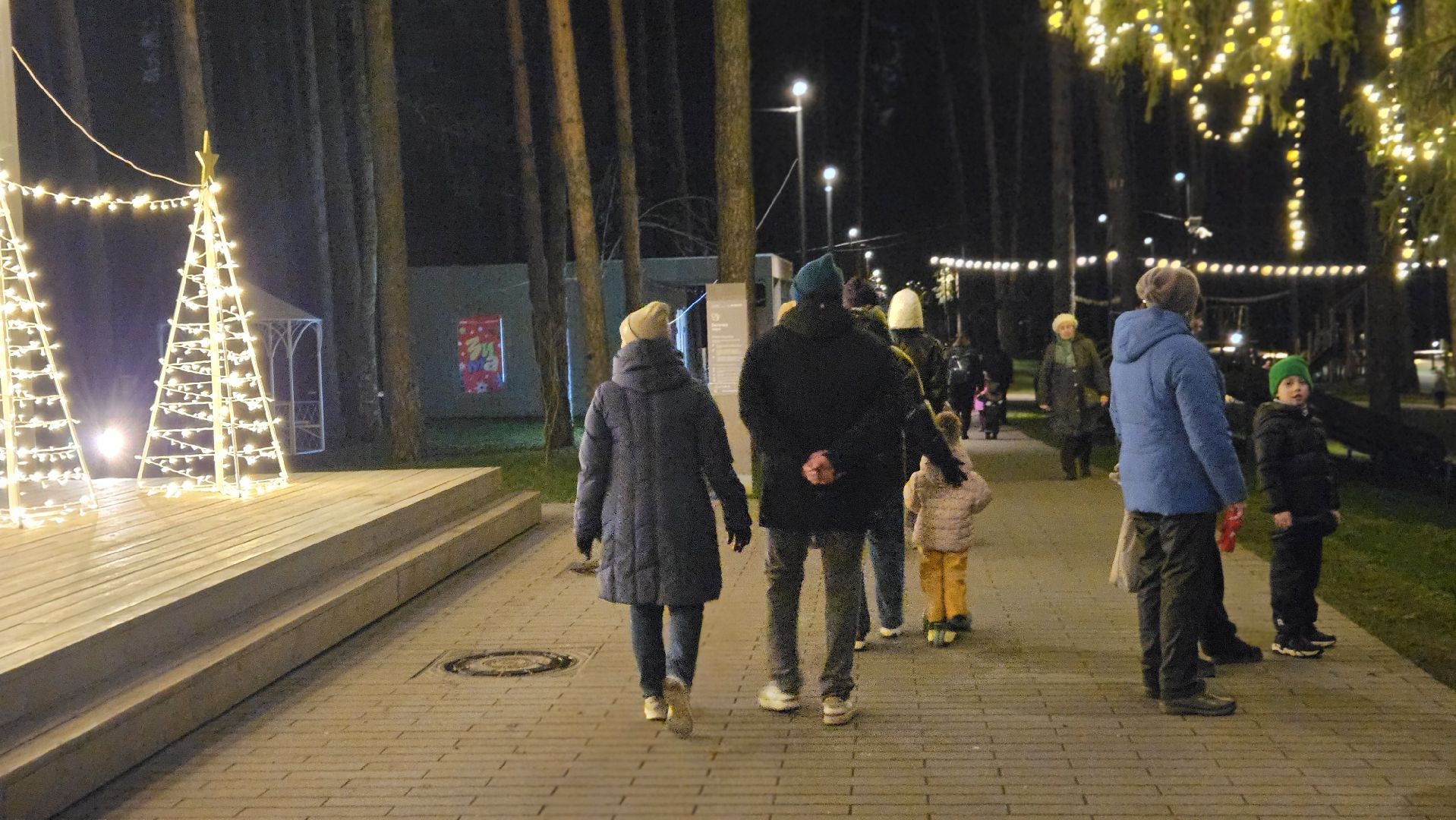 дед мороз, жуковский, парк,