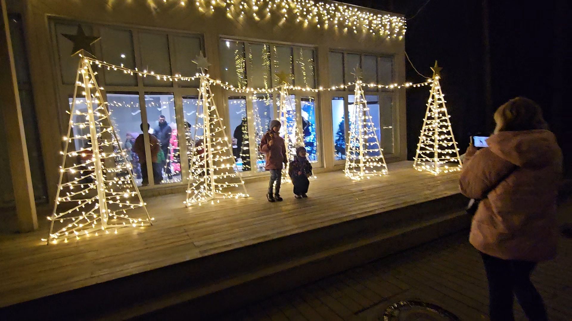 дед мороз, жуковский, парк,