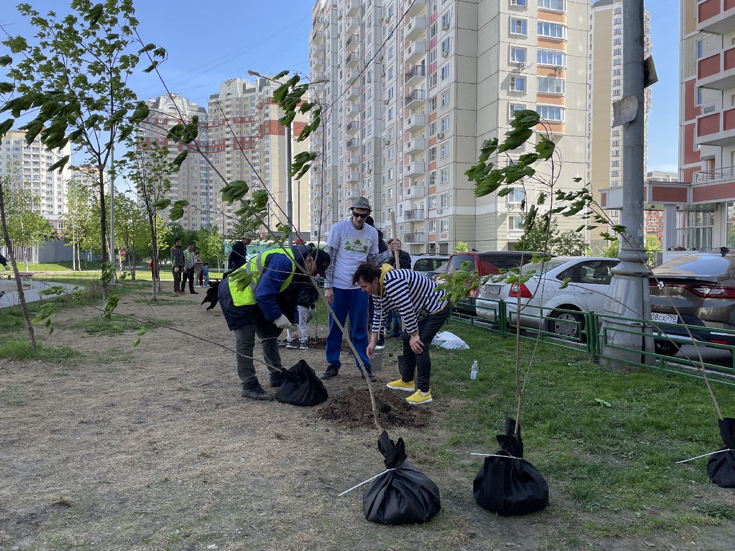 Акция, Лес Победы, деревья, высадка
