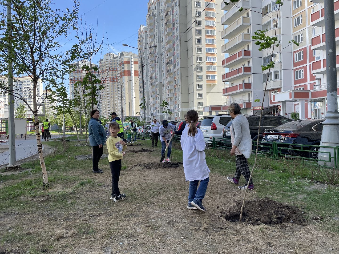 Акция, Лес Победы, деревья, высадка