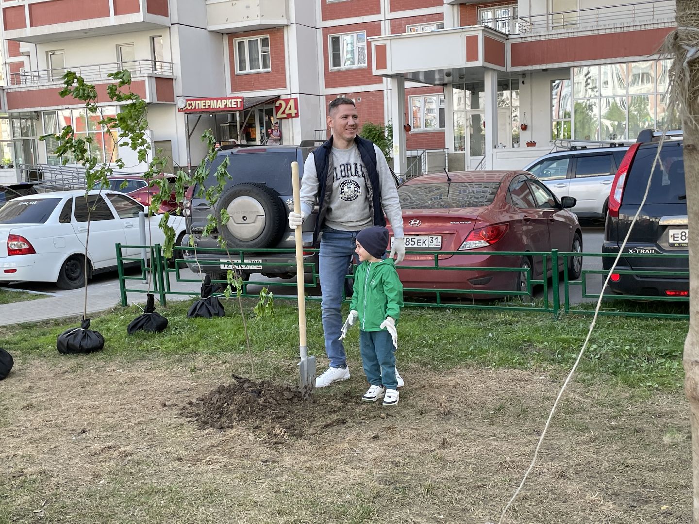 Акция, Лес Победы, деревья, высадка