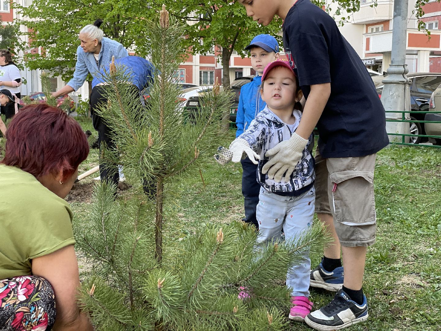 Акция, Лес Победы, деревья, высадка