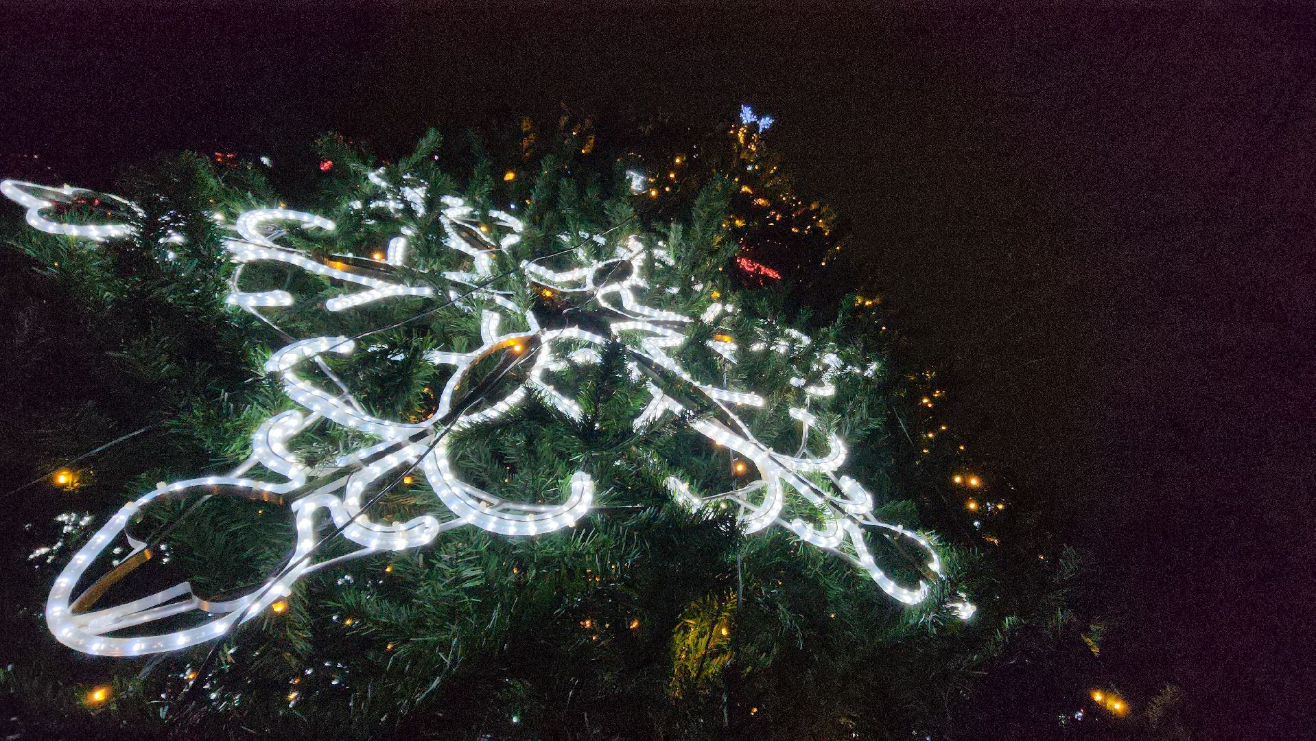 городской парк, красногорск, зажжение елки, дед мороз,