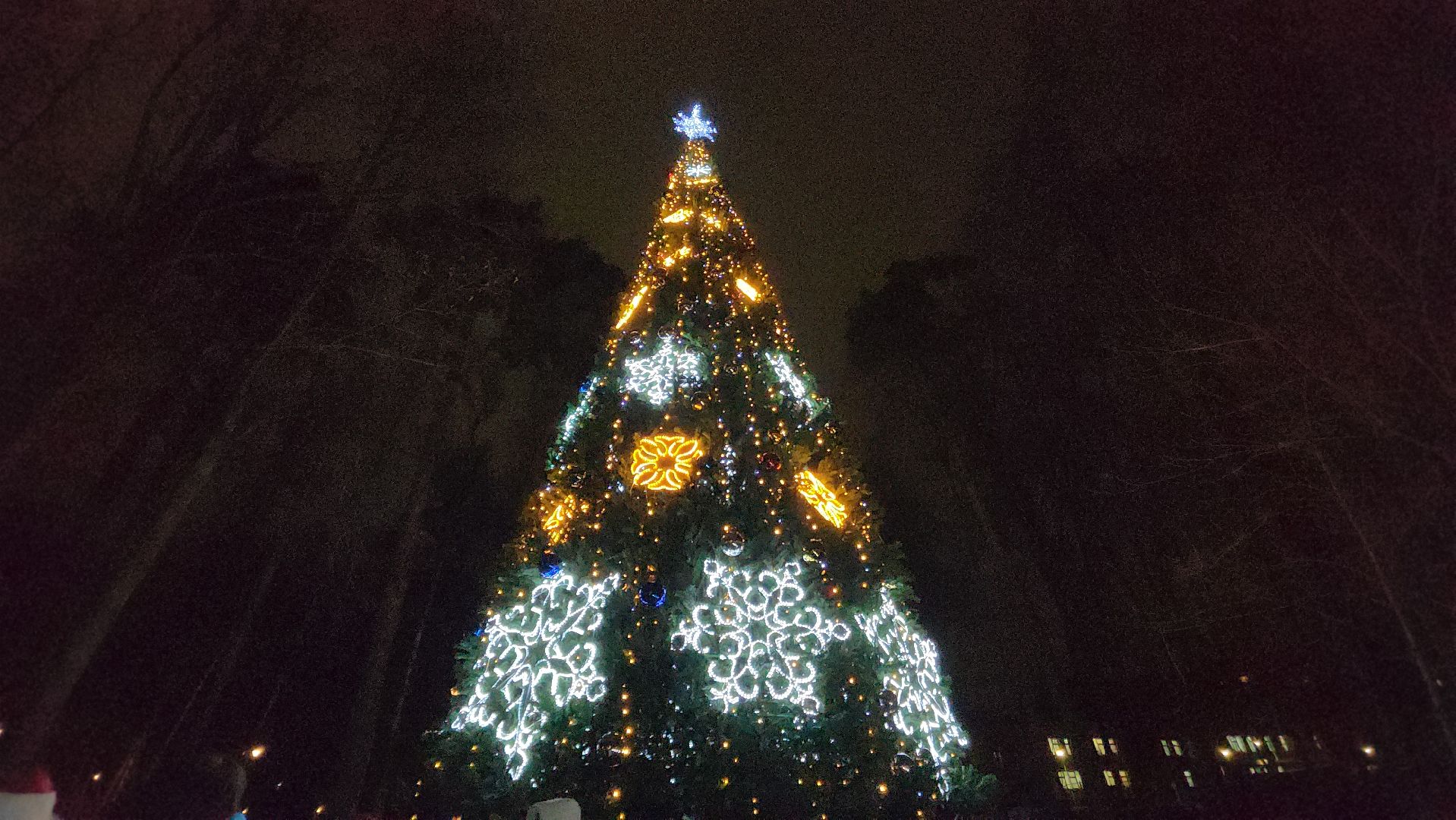 городской парк, красногорск, зажжение елки, дед мороз,