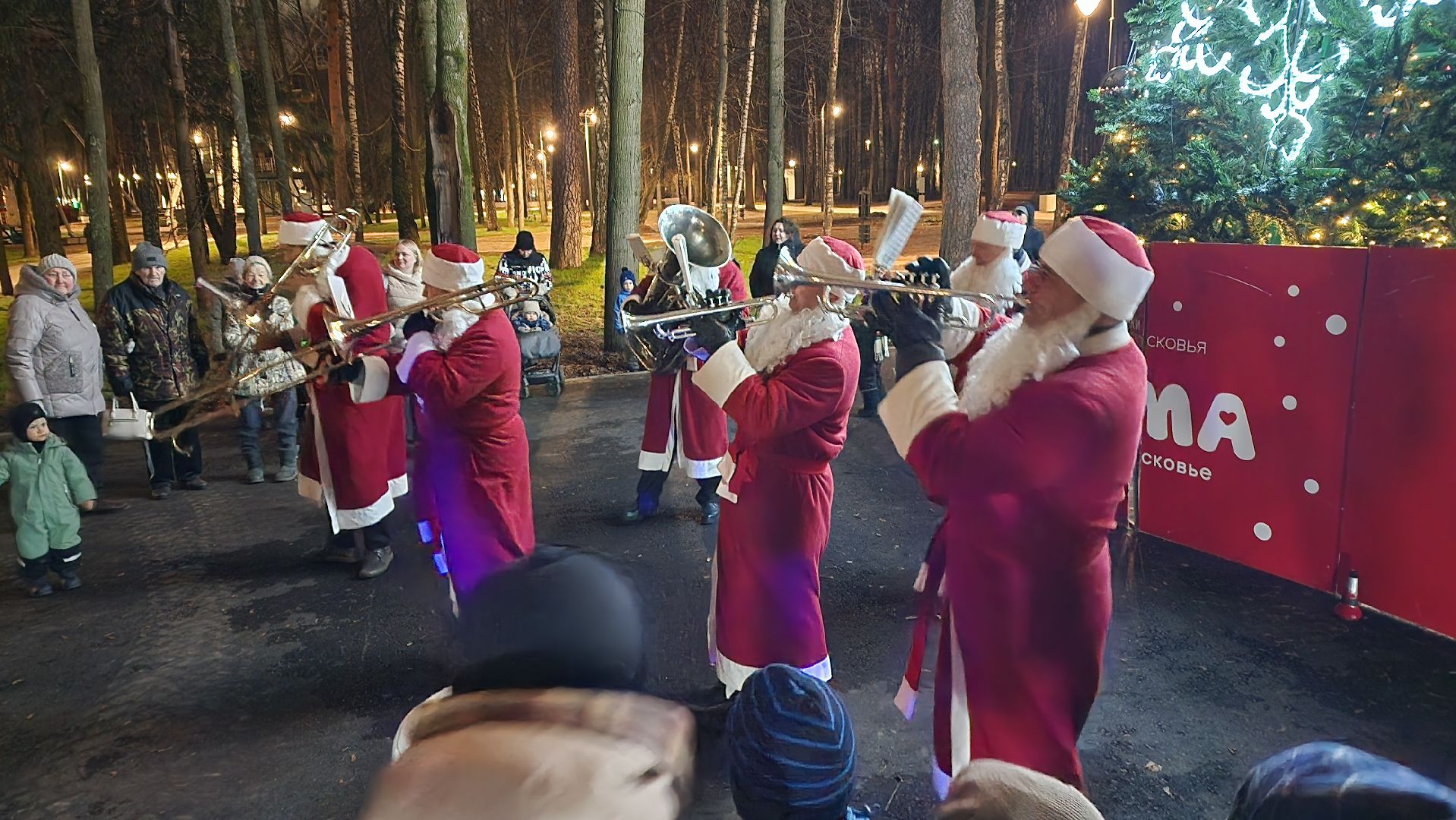 городской парк, красногорск, зажжение елки, дед мороз,