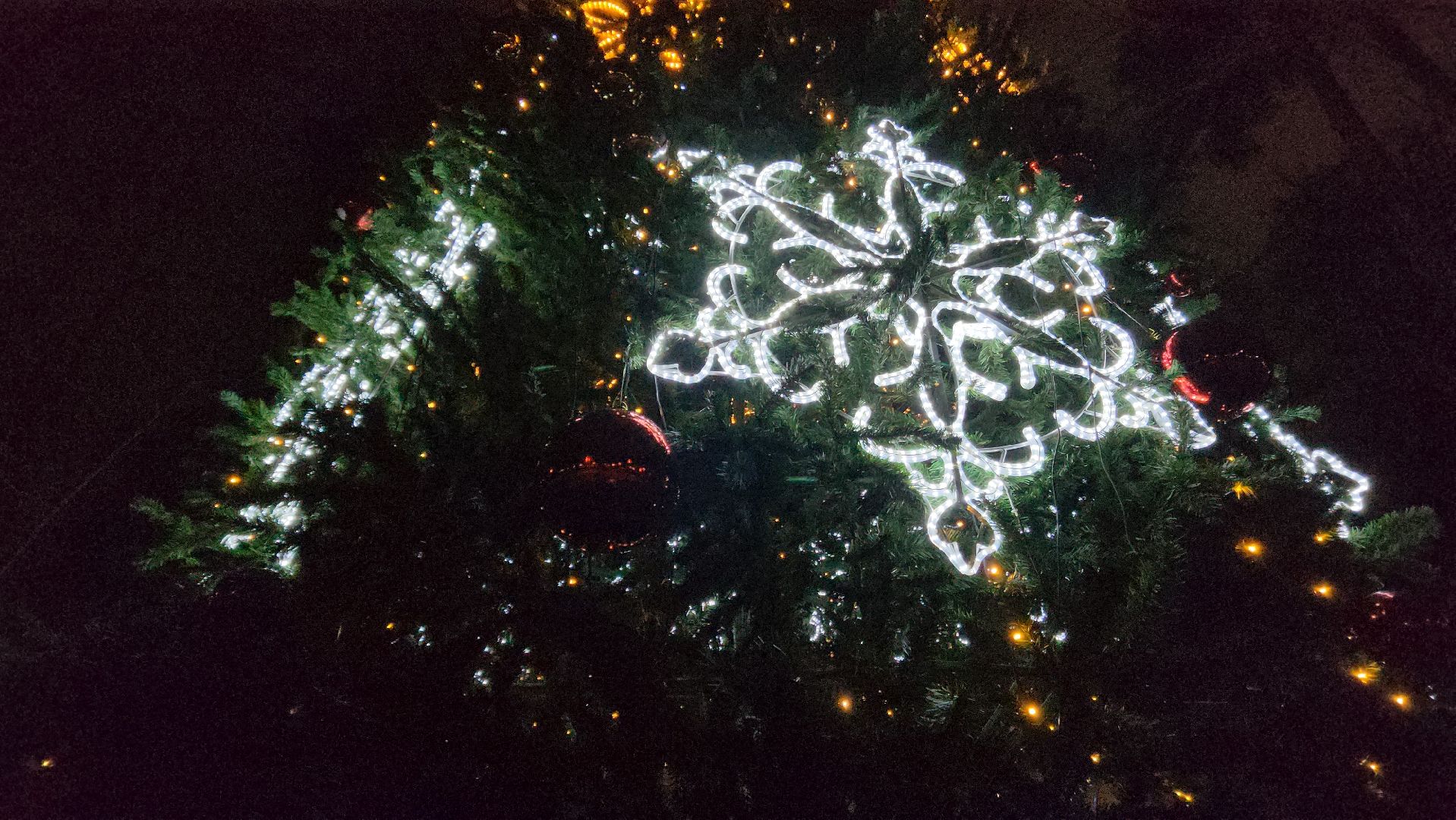 городской парк, красногорск, зажжение елки, дед мороз,