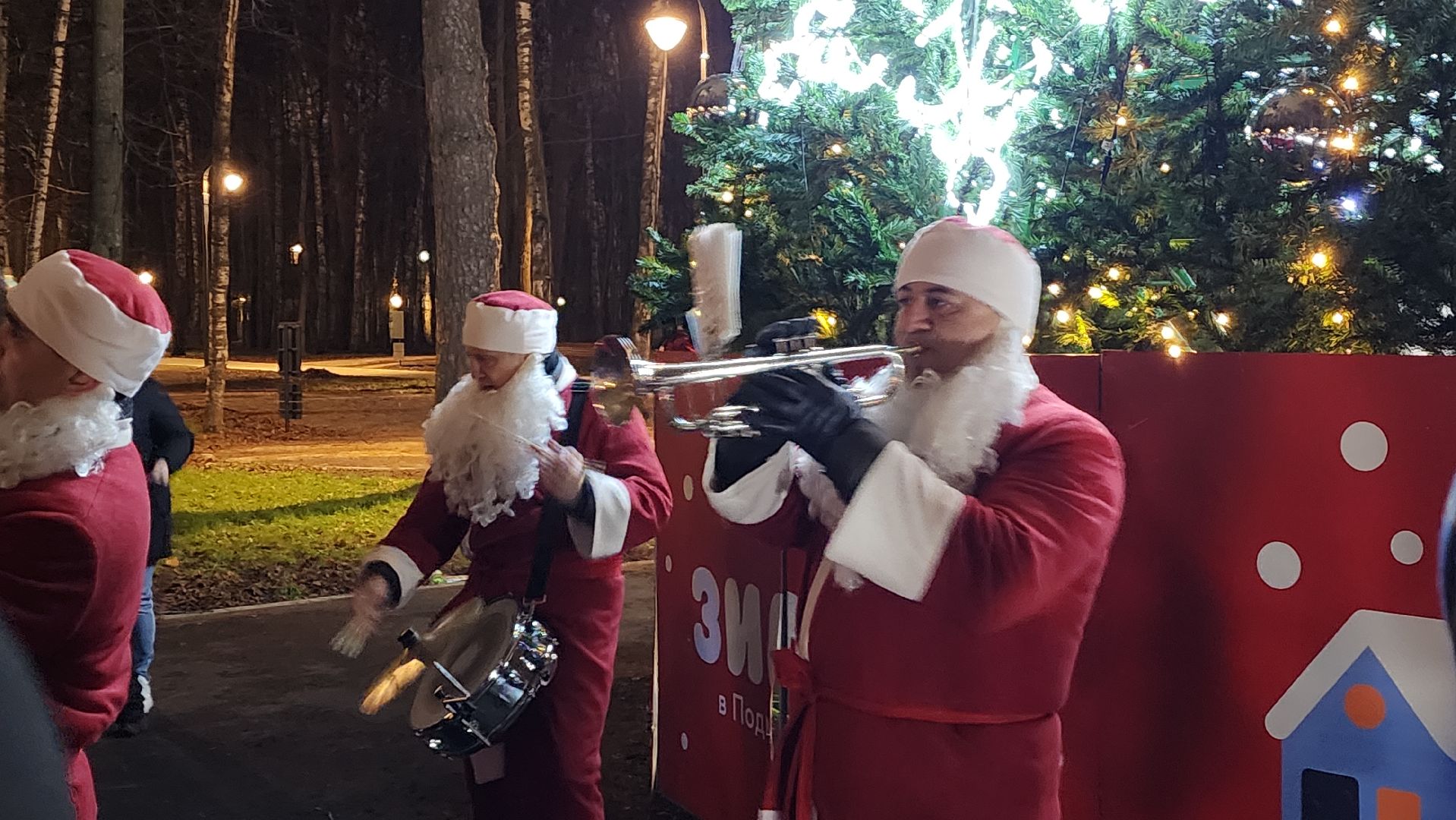 городской парк, красногорск, зажжение елки, дед мороз,
