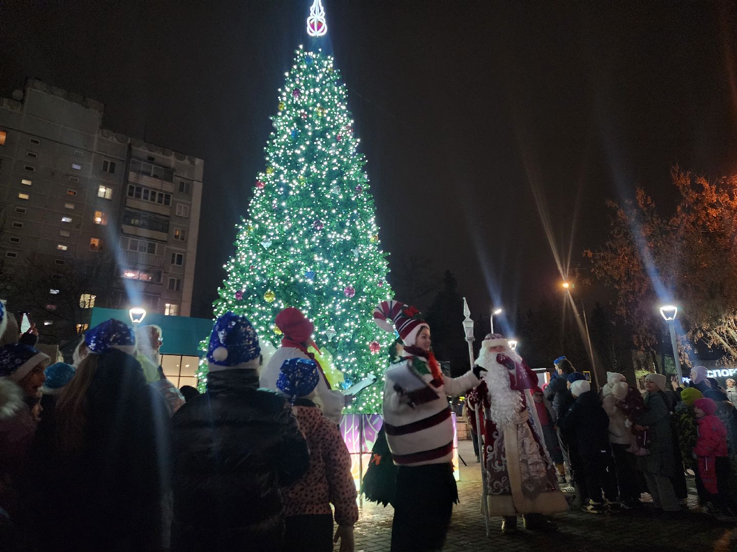 красногорск, зима в  подмосковье, зажжение огней на елке,