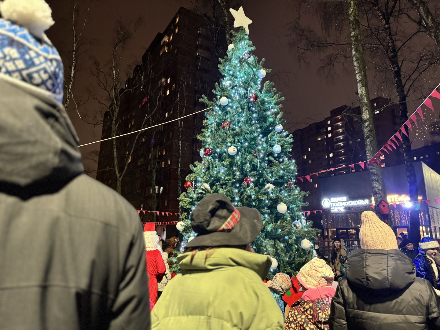 зима в подмосковье, ленинский округ, резиденция деда мороза, зажгли елку,