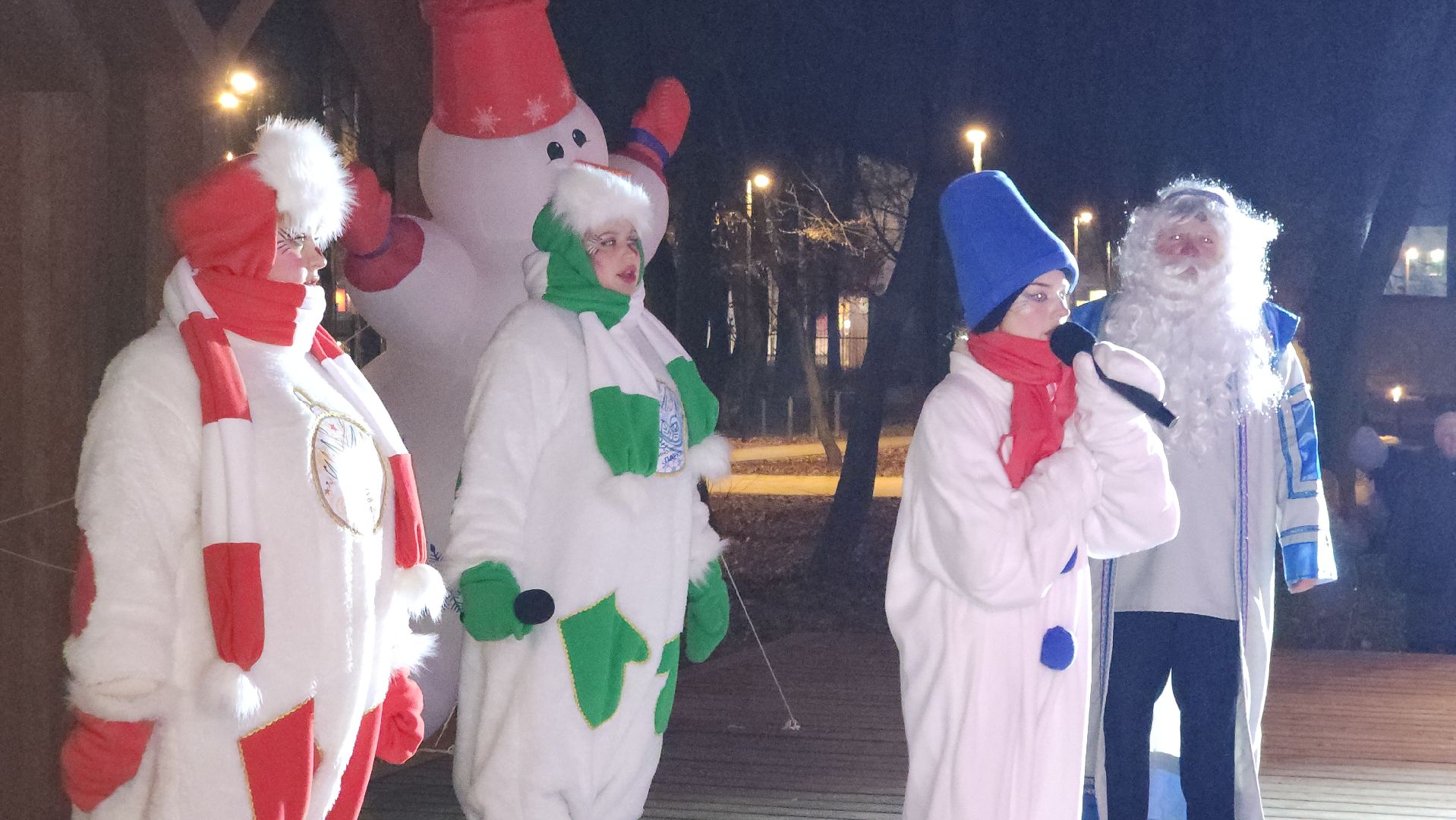 зимний сезон, парки подмосковья, лосино-петровский,