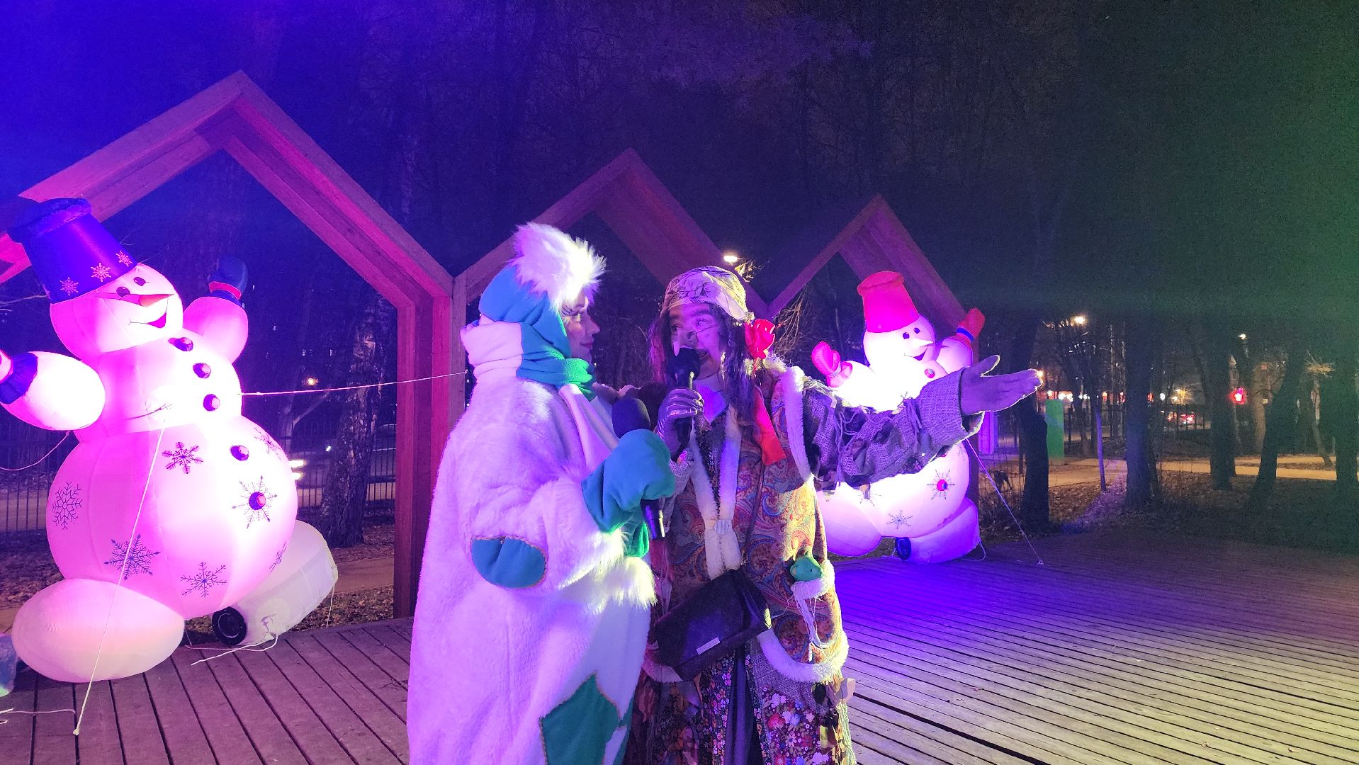 зимний сезон, парки подмосковья, лосино-петровский,