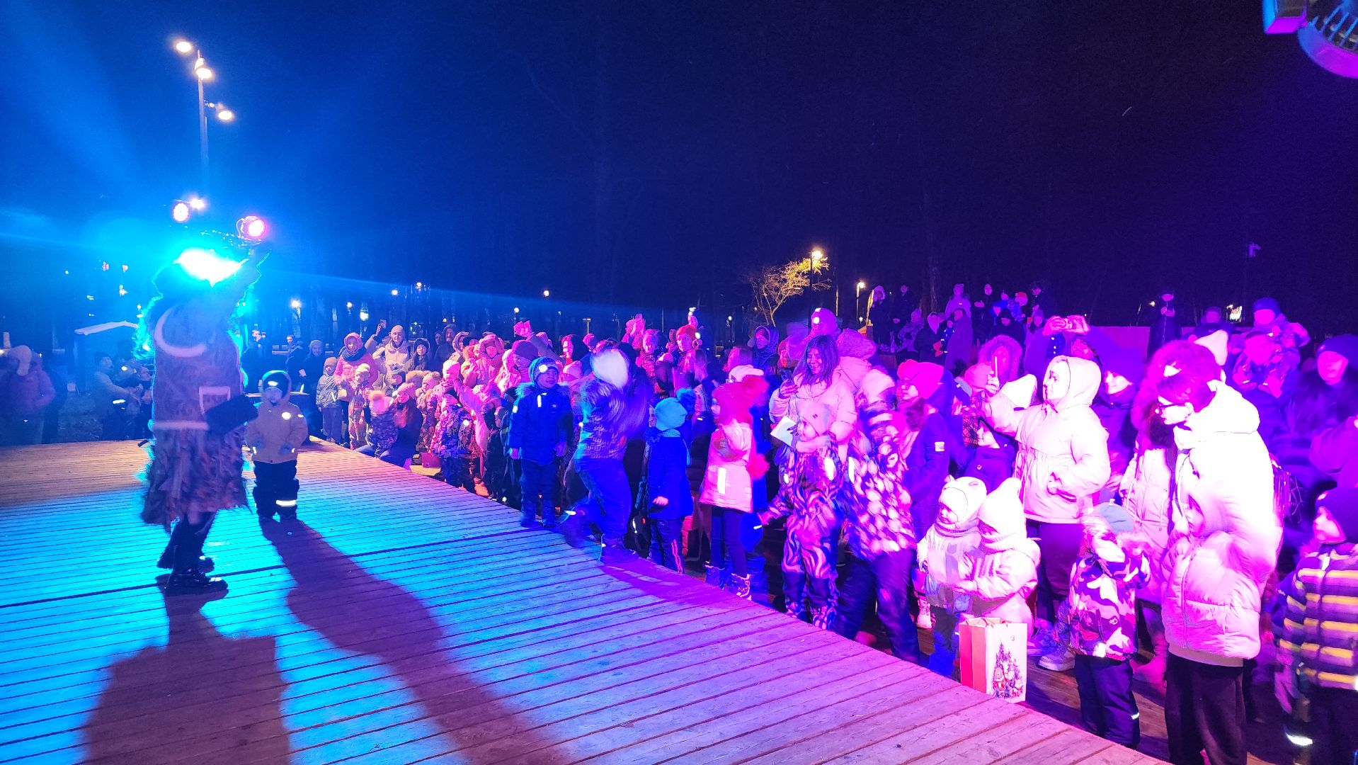 зимний сезон, парки подмосковья, лосино-петровский,