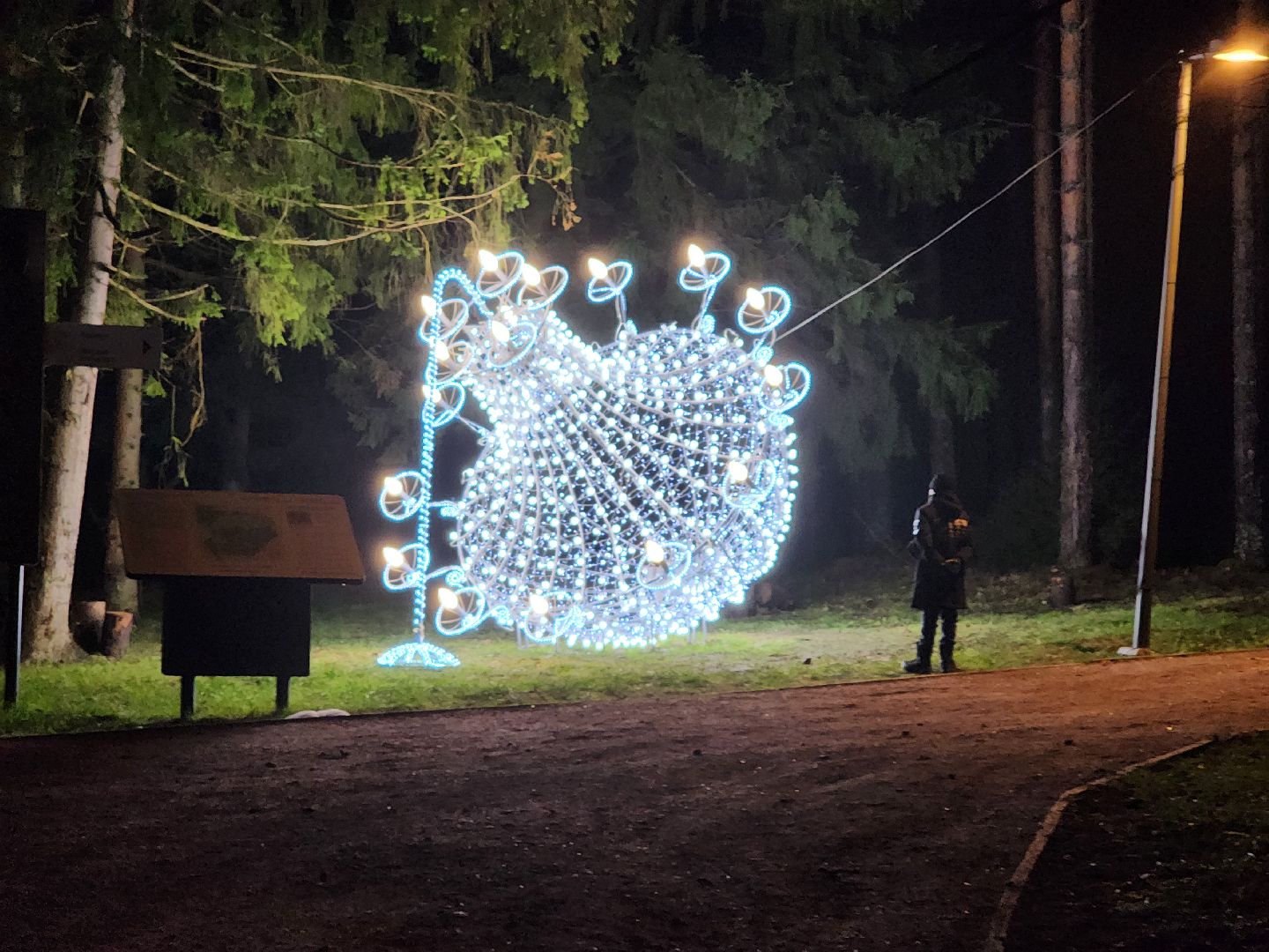 сергиев посад, сергиево-посадский городской округ,  лесопарк загорское море, зима в подмосковье, зимний сезон, зимний сезон в парке,семхоз,