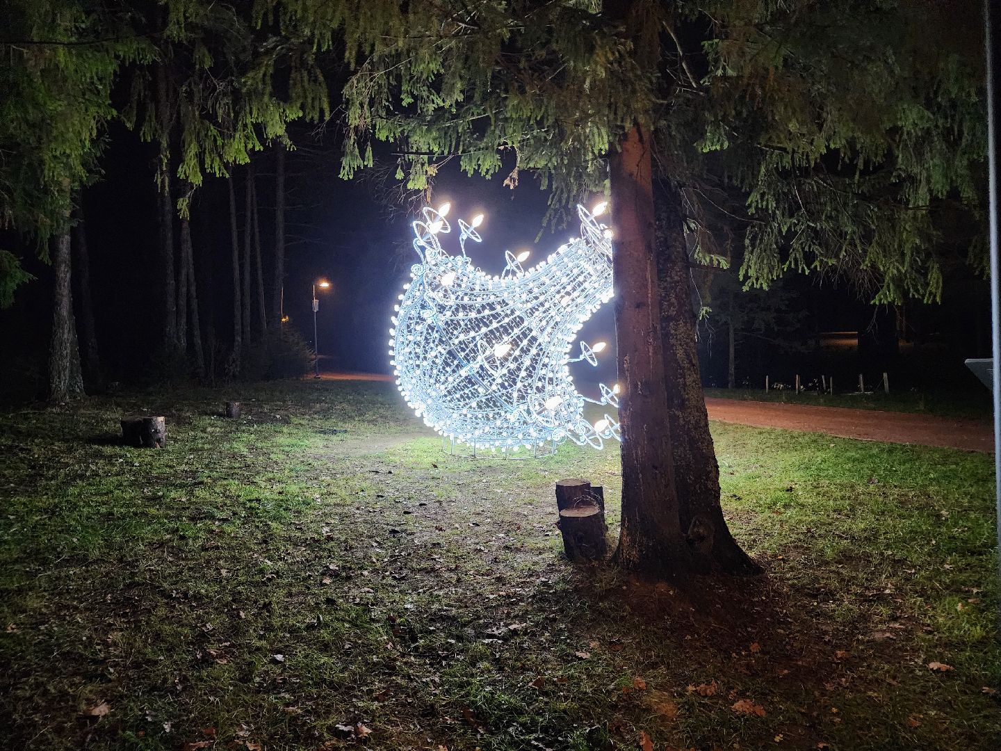 сергиев посад, сергиево-посадский городской округ,  лесопарк загорское море, зима в подмосковье, зимний сезон, зимний сезон в парке,семхоз,