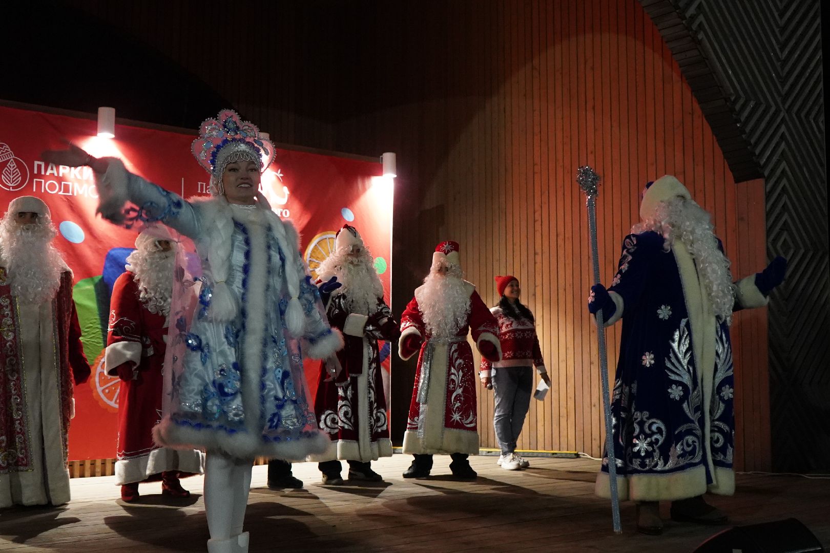 ступино, парк, Дед Мороз, елка,