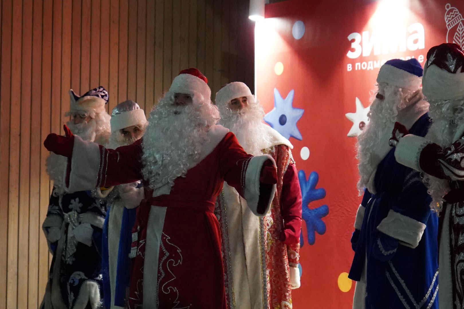 ступино, парк, Дед Мороз, елка,