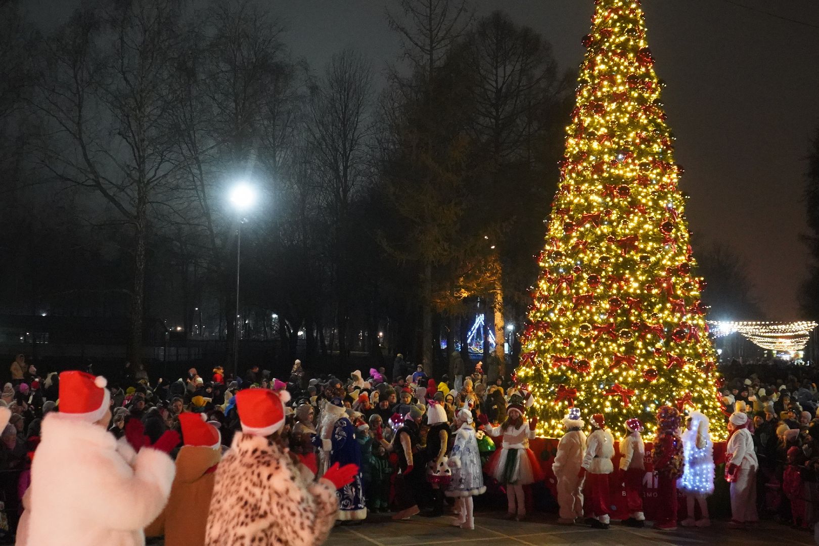 ступино, парк, Дед Мороз, елка,