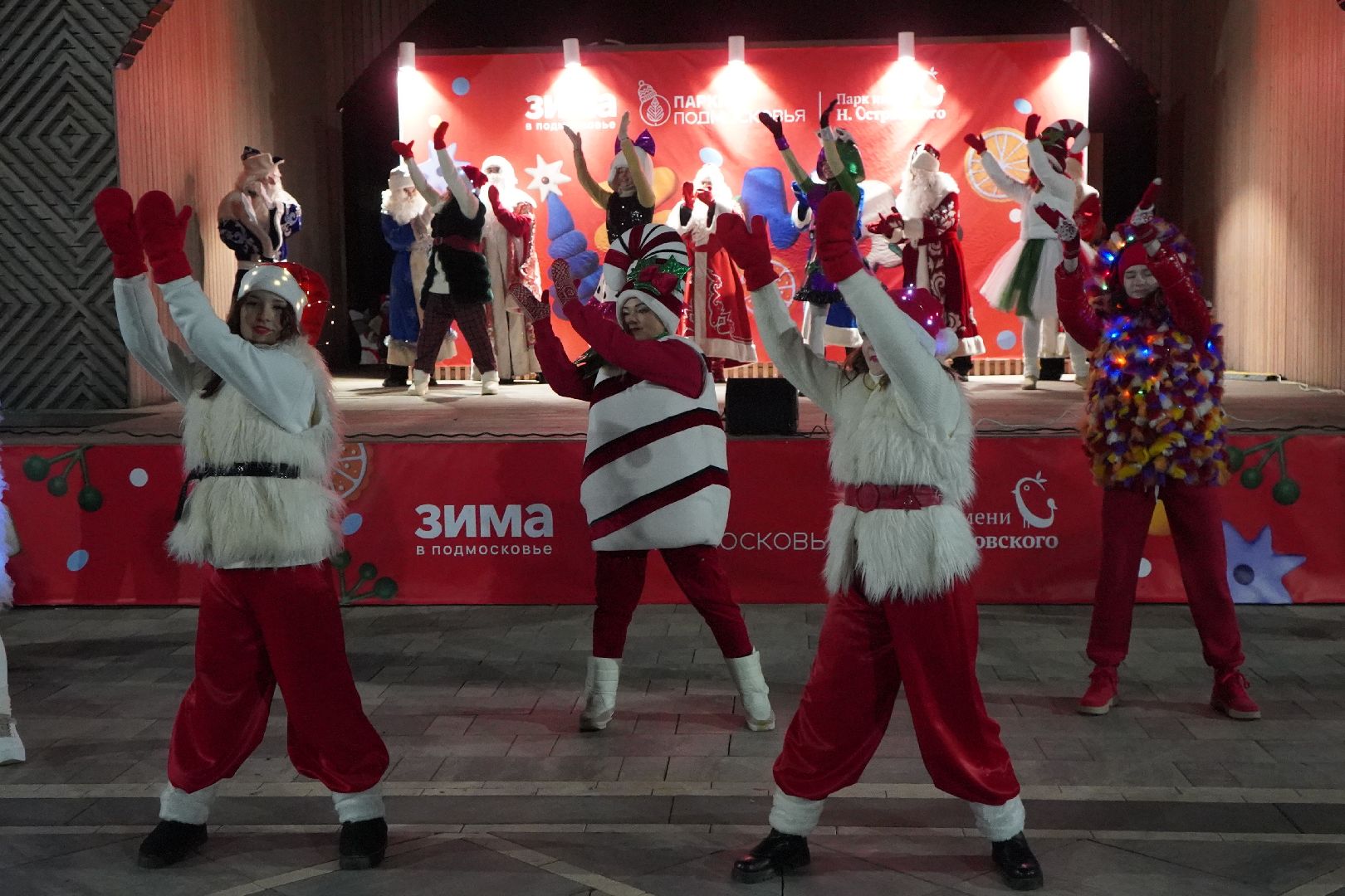 ступино, парк, Дед Мороз, елка,