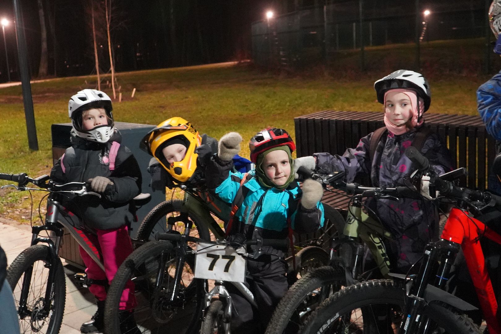 ступино, парк, Дед Мороз, елка,