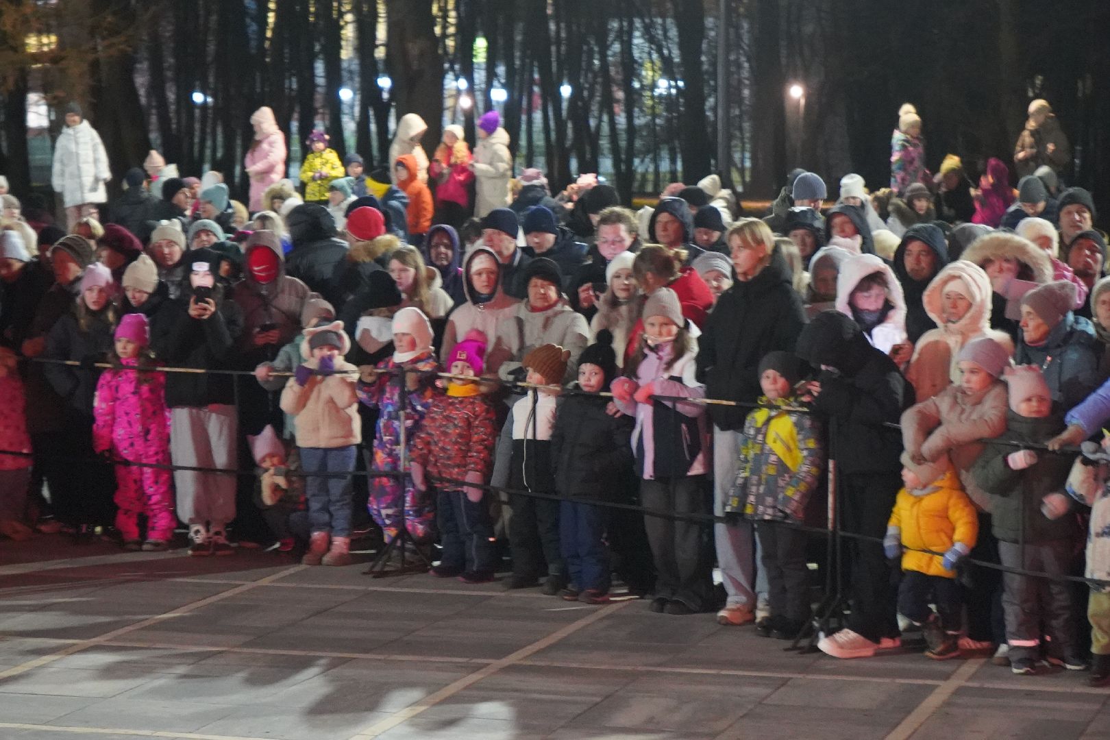 ступино, парк, Дед Мороз, елка,