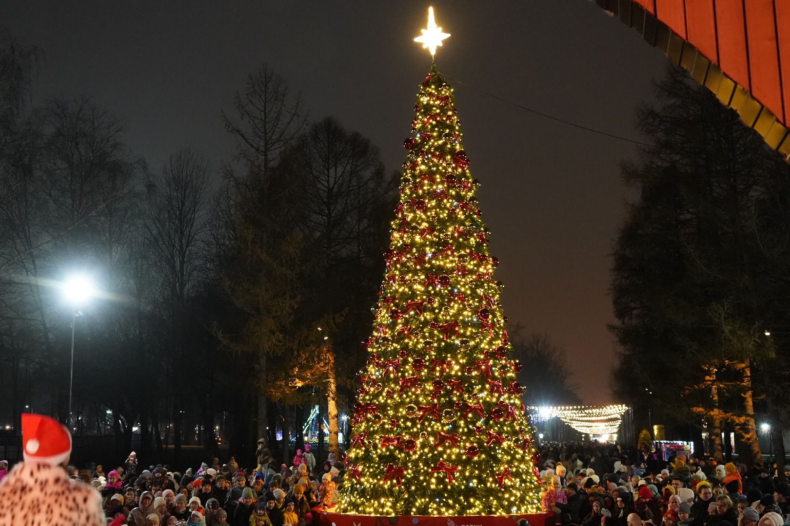 ступино, парк, Дед Мороз, елка,