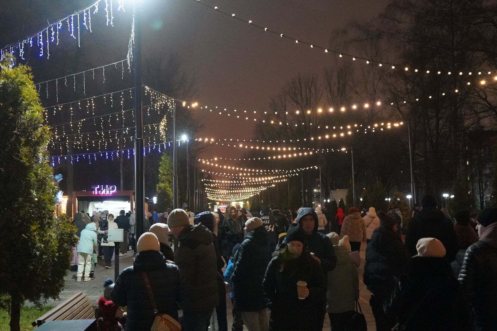 ступино, парк, резиденция деда мороза,