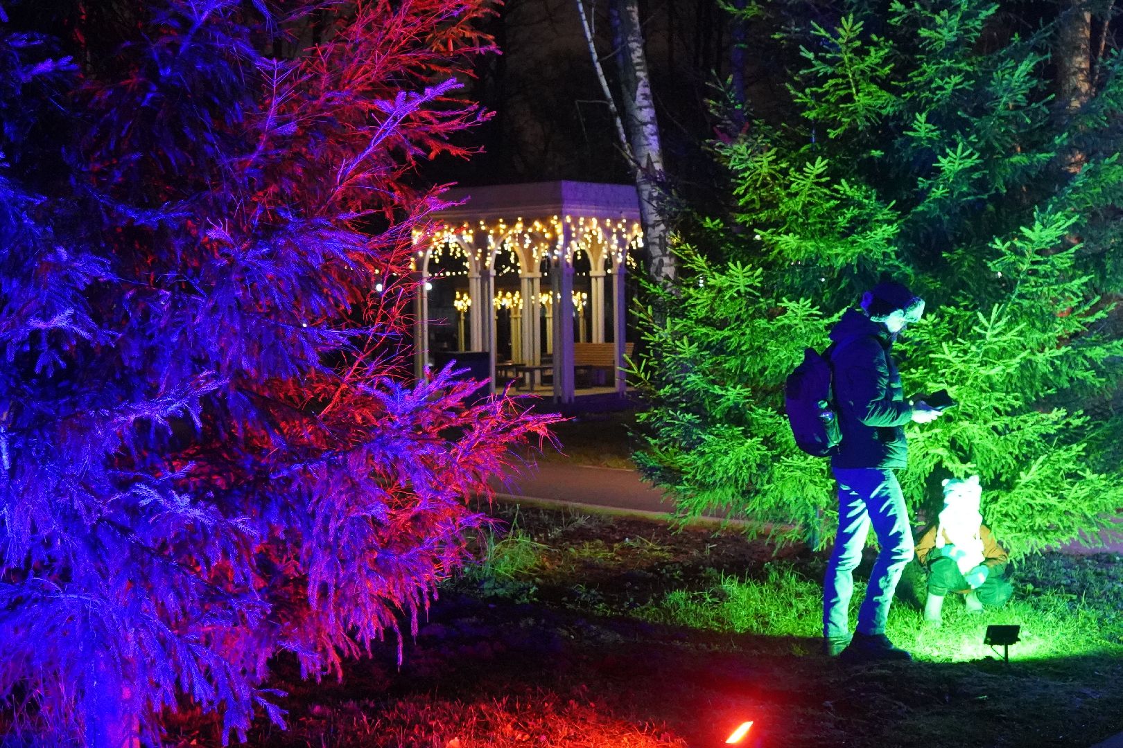 ступино, парк, резиденция деда мороза,