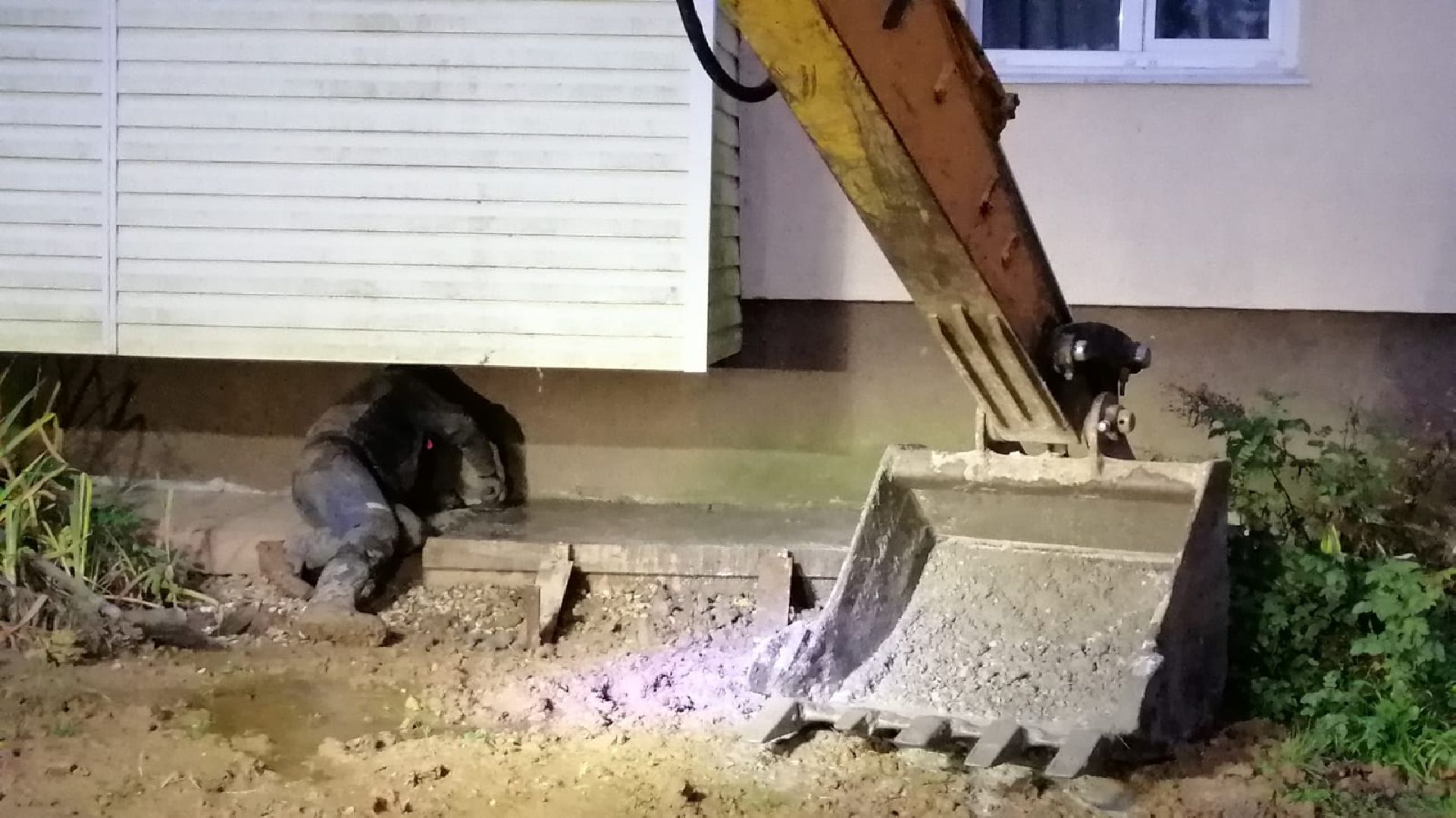 городской округ восход, жкх, благоустройство, отмостка, отмостка дома,