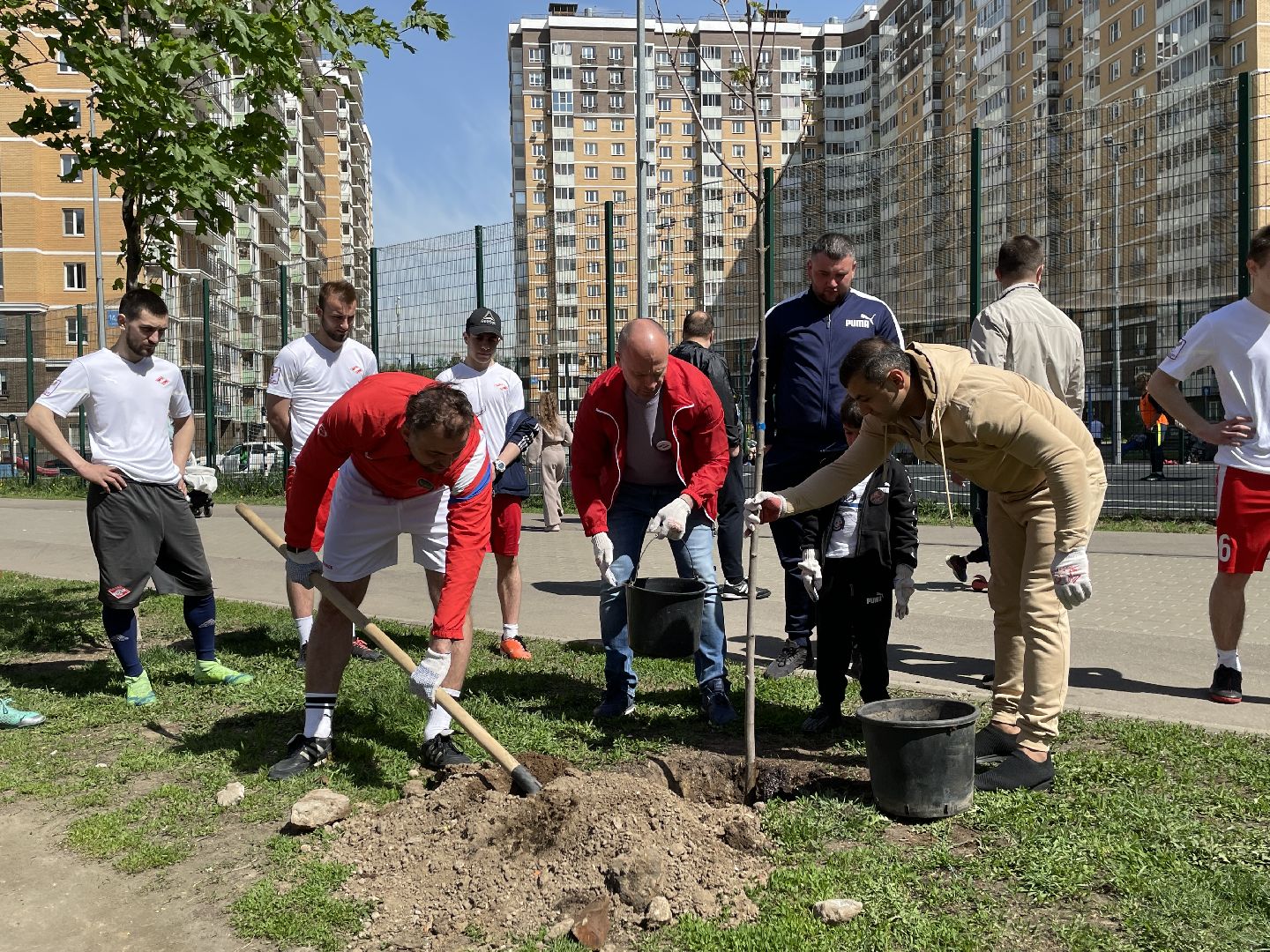 Акция, футболисты, Лес Победы, деревья
