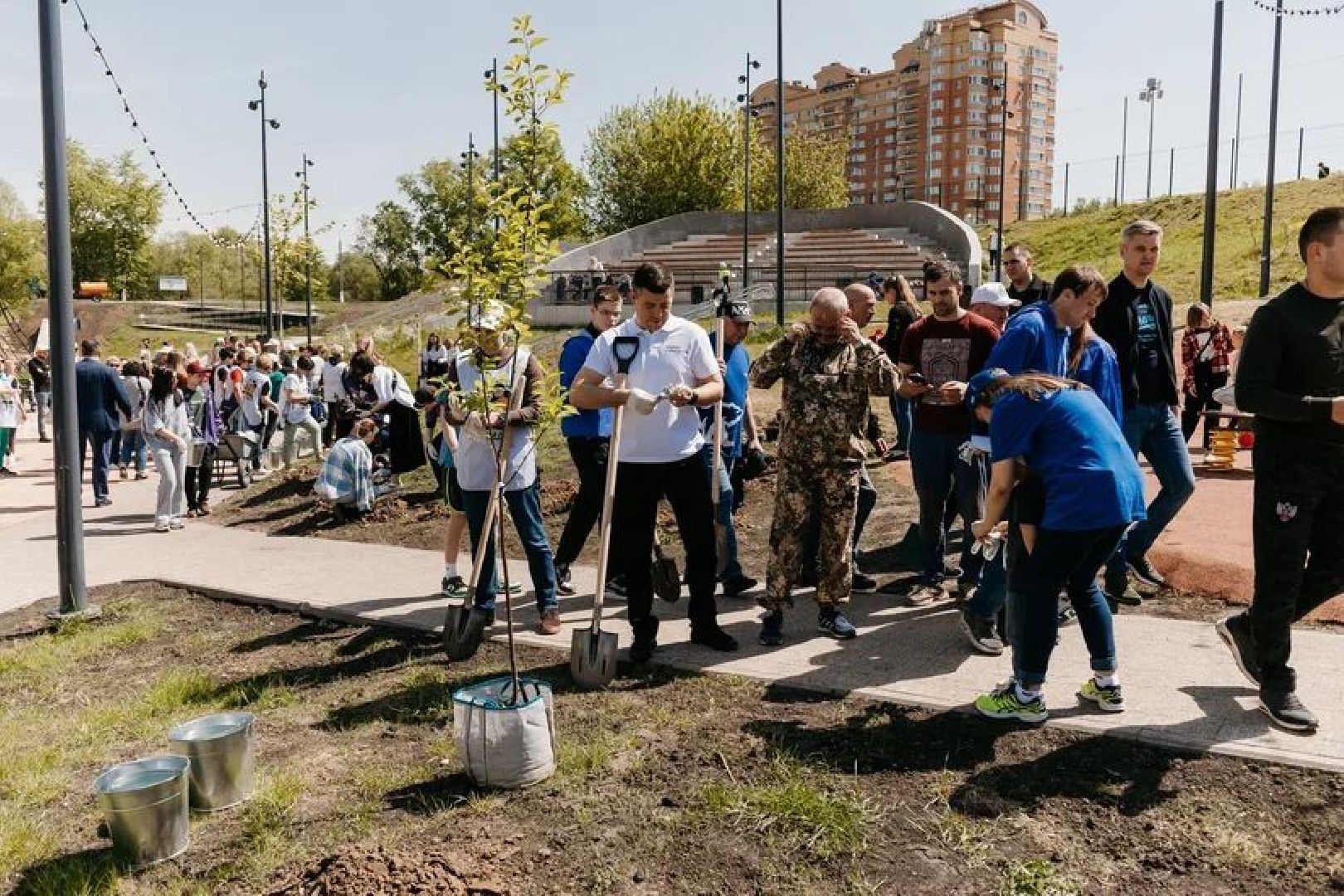 Чехов, Лес победы, благоустройство, деревья, жители, ВОВ