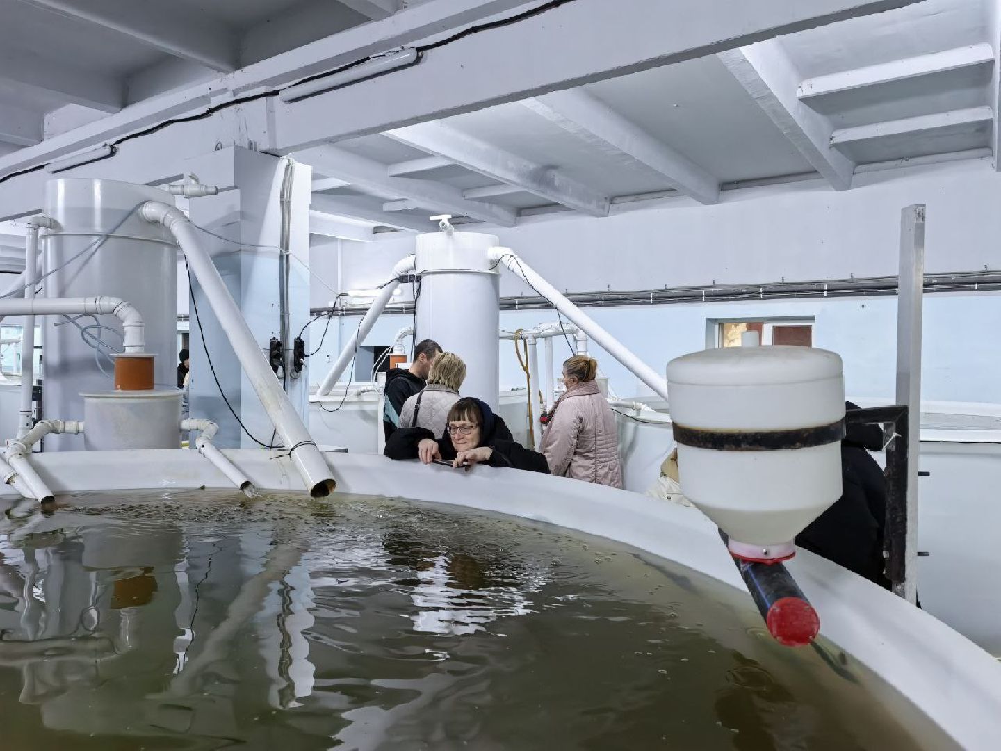 серебряные пруды, промышленный туризм, агротуризм, голд фиш, осетровая ферма, ассоциация ветеранов сво серебряные пруды,