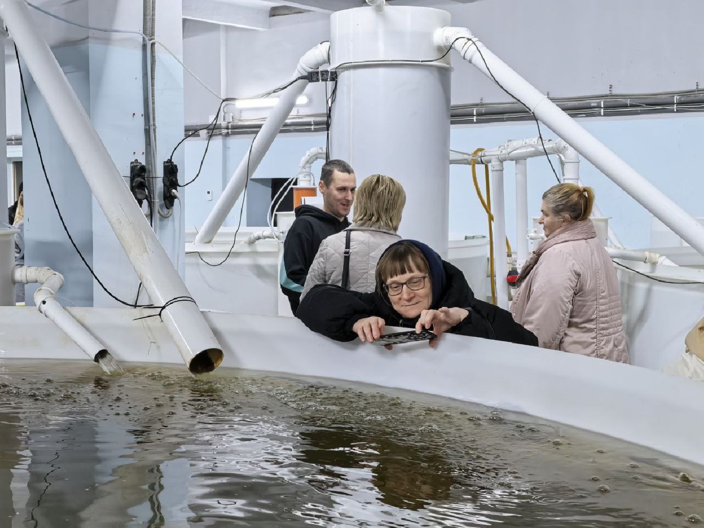 серебряные пруды, промышленный туризм, агротуризм, голд фиш, осетровая ферма, ассоциация ветеранов сво серебряные пруды,