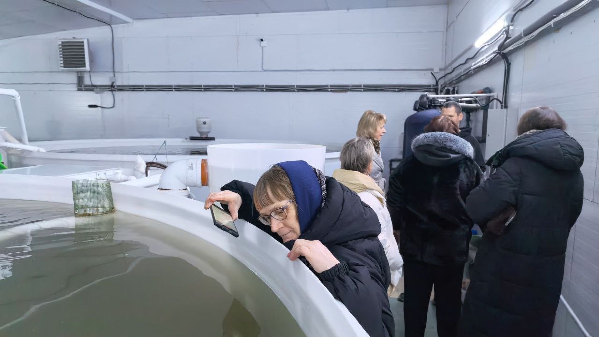 серебряные пруды, промышленный туризм, агротуризм, голд фиш, осетровая ферма, ассоциация ветеранов сво серебряные пруды,