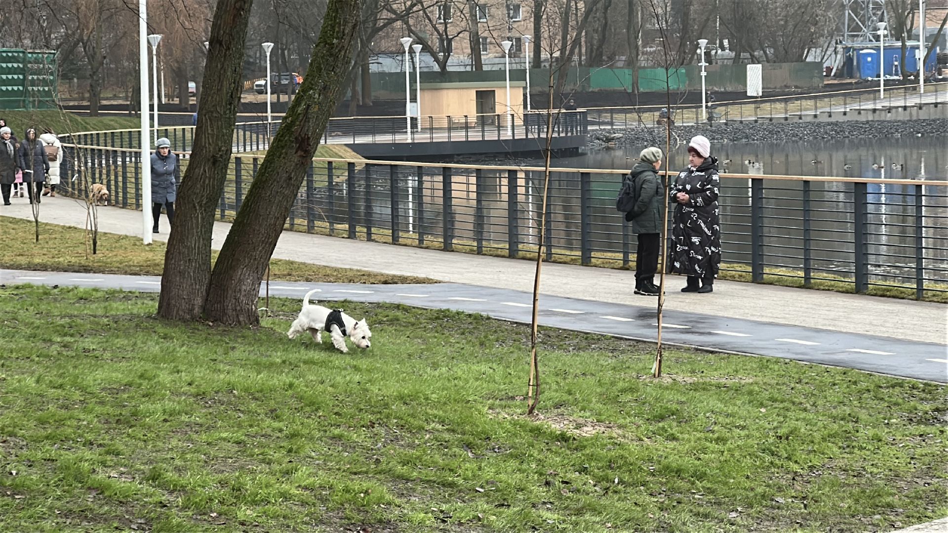 благоуйстройство, травинское озеро, травинская набережная, пушкинский городской округ, пушкино, мнение жителей,