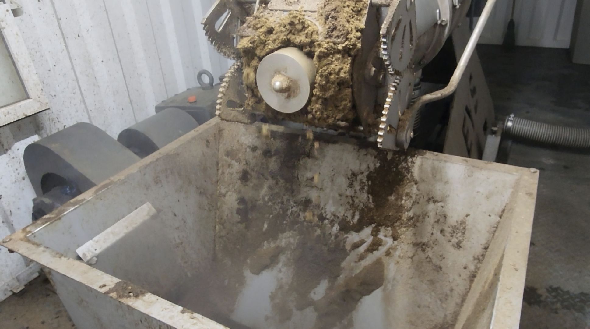 завод,  ферма, повадино, косино, барыбино, племзавод, племенной завод, домодедово,подмосковье,