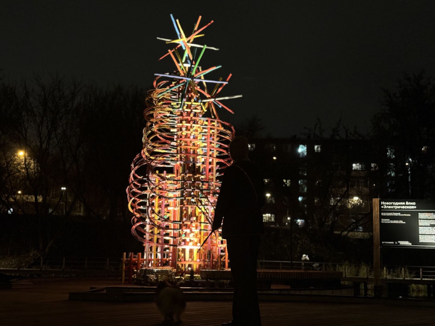 елка, тарычевский пруд, брусника, ленинский городской округ, новогоднее оформление,