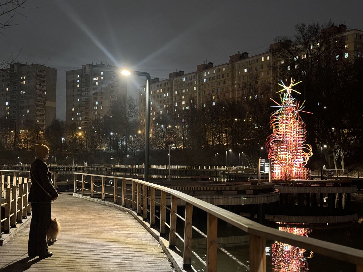 елка, тарычевский пруд, брусника, ленинский городской округ, новогоднее оформление,