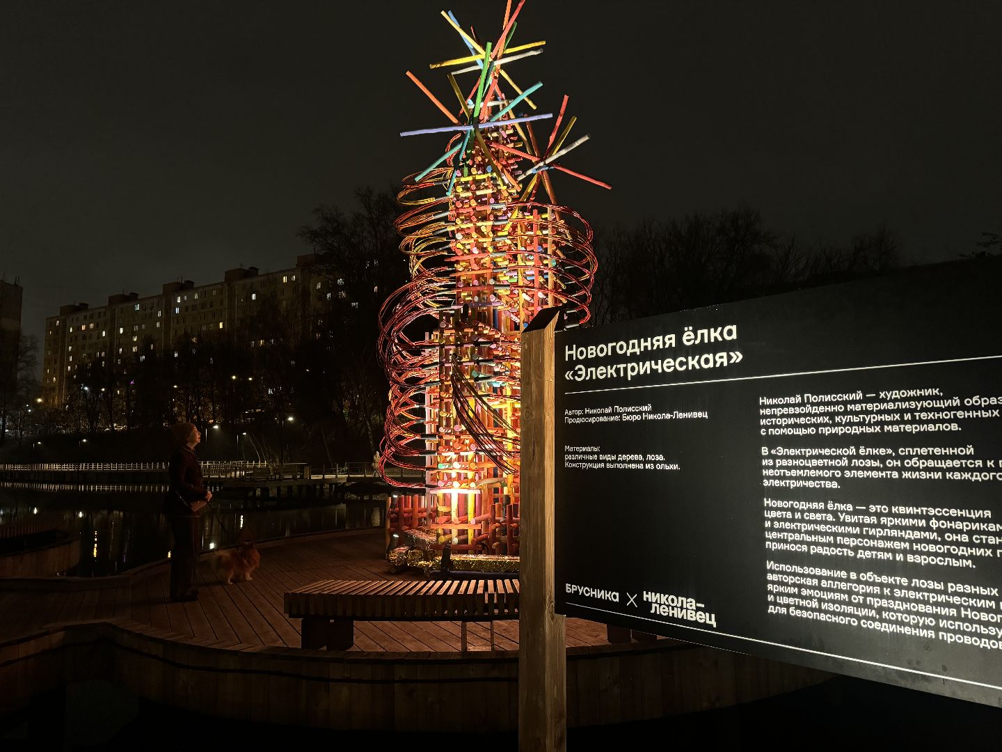 елка, тарычевский пруд, брусника, ленинский городской округ, новогоднее оформление,