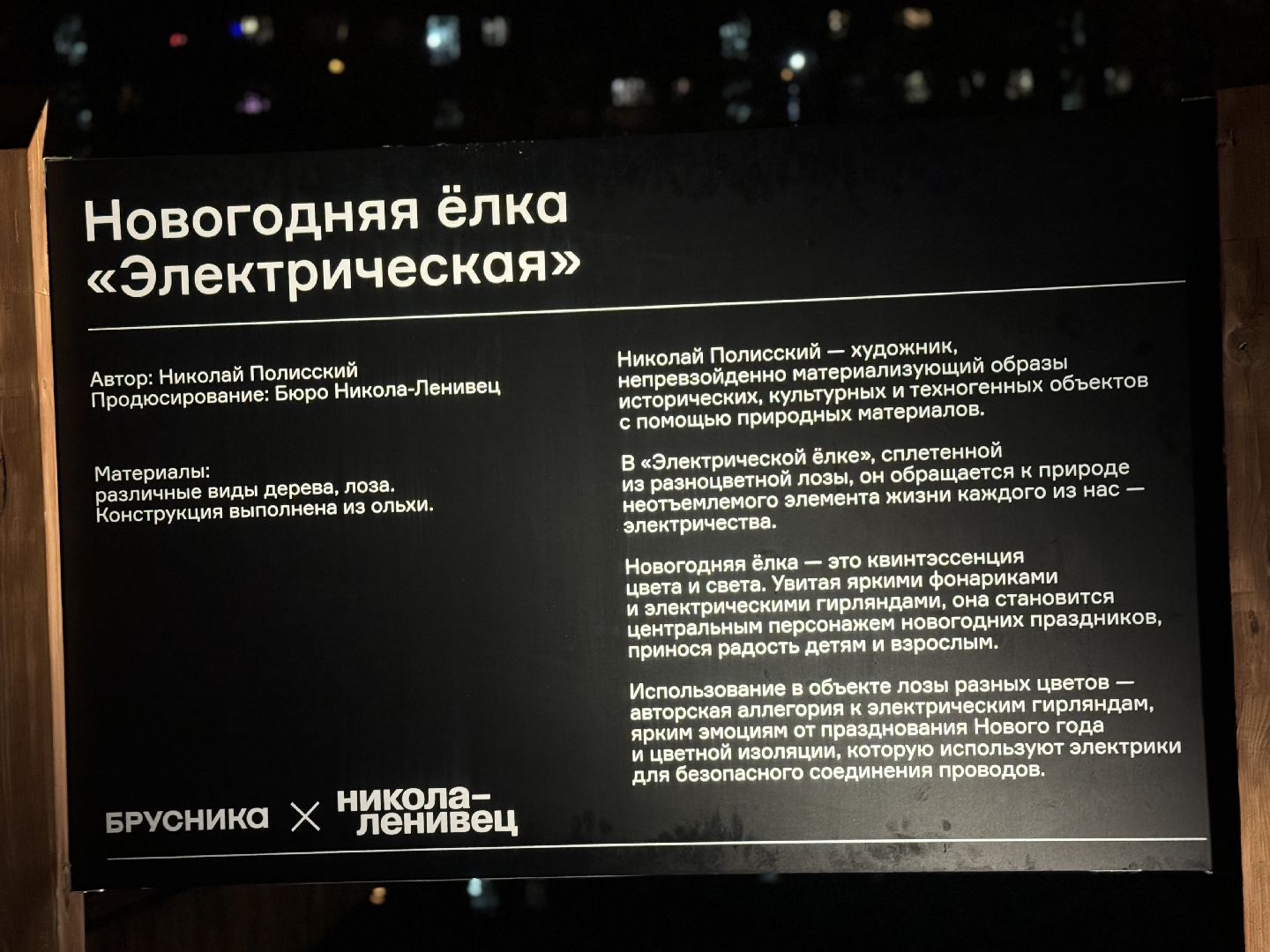 елка, тарычевский пруд, брусника, ленинский городской округ, новогоднее оформление,