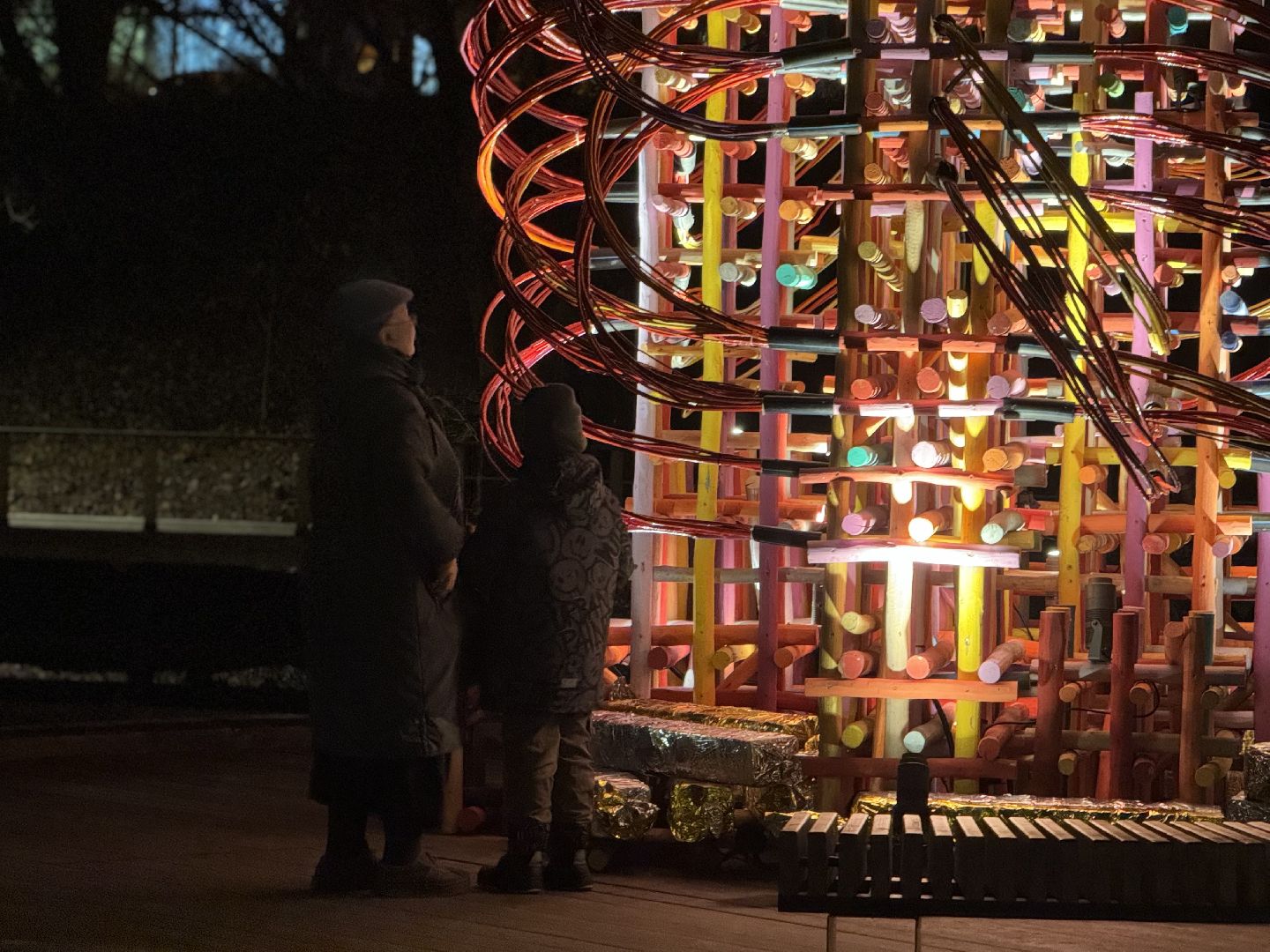 елка, тарычевский пруд, брусника, ленинский городской округ, новогоднее оформление,