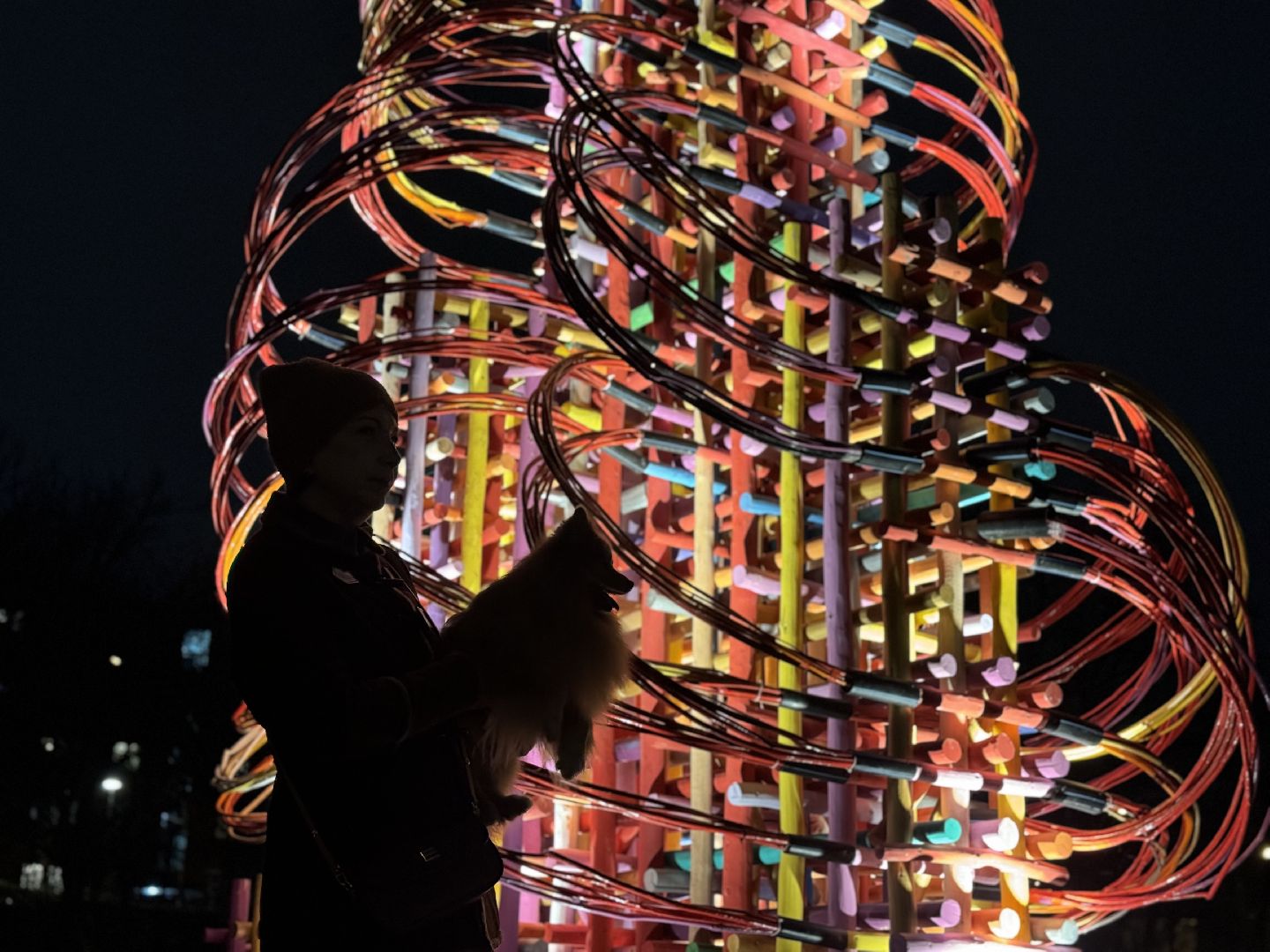 елка, тарычевский пруд, брусника, ленинский городской округ, новогоднее оформление,