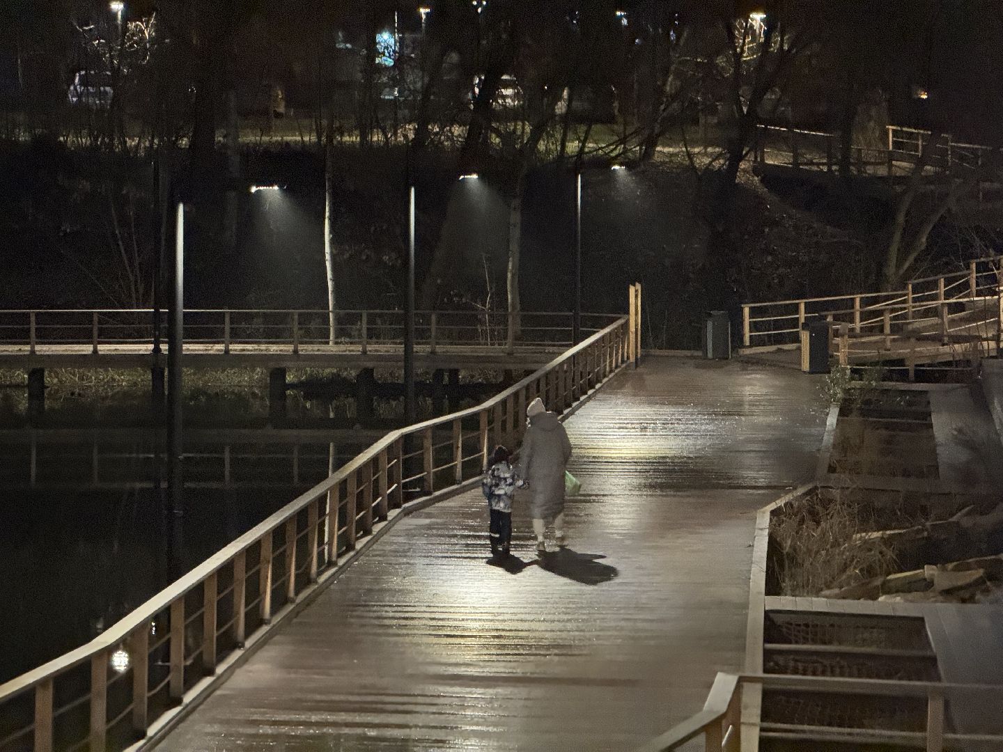 елка, тарычевский пруд, брусника, ленинский городской округ, новогоднее оформление,