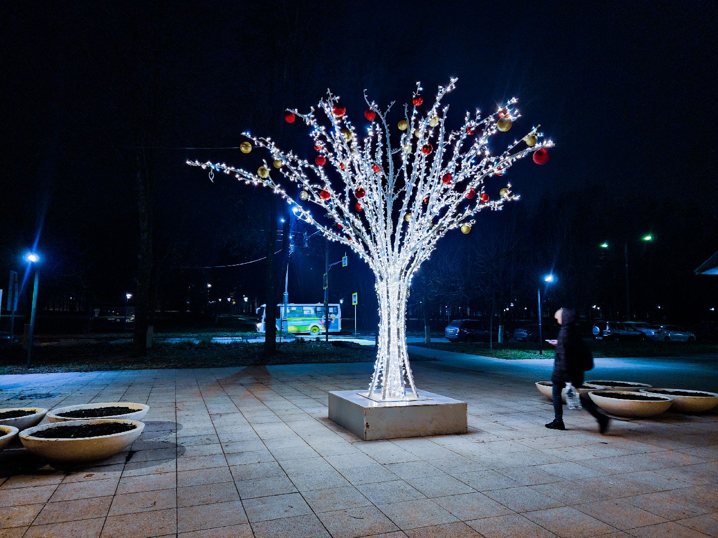 пущино, серпухов, новый 2026 год,