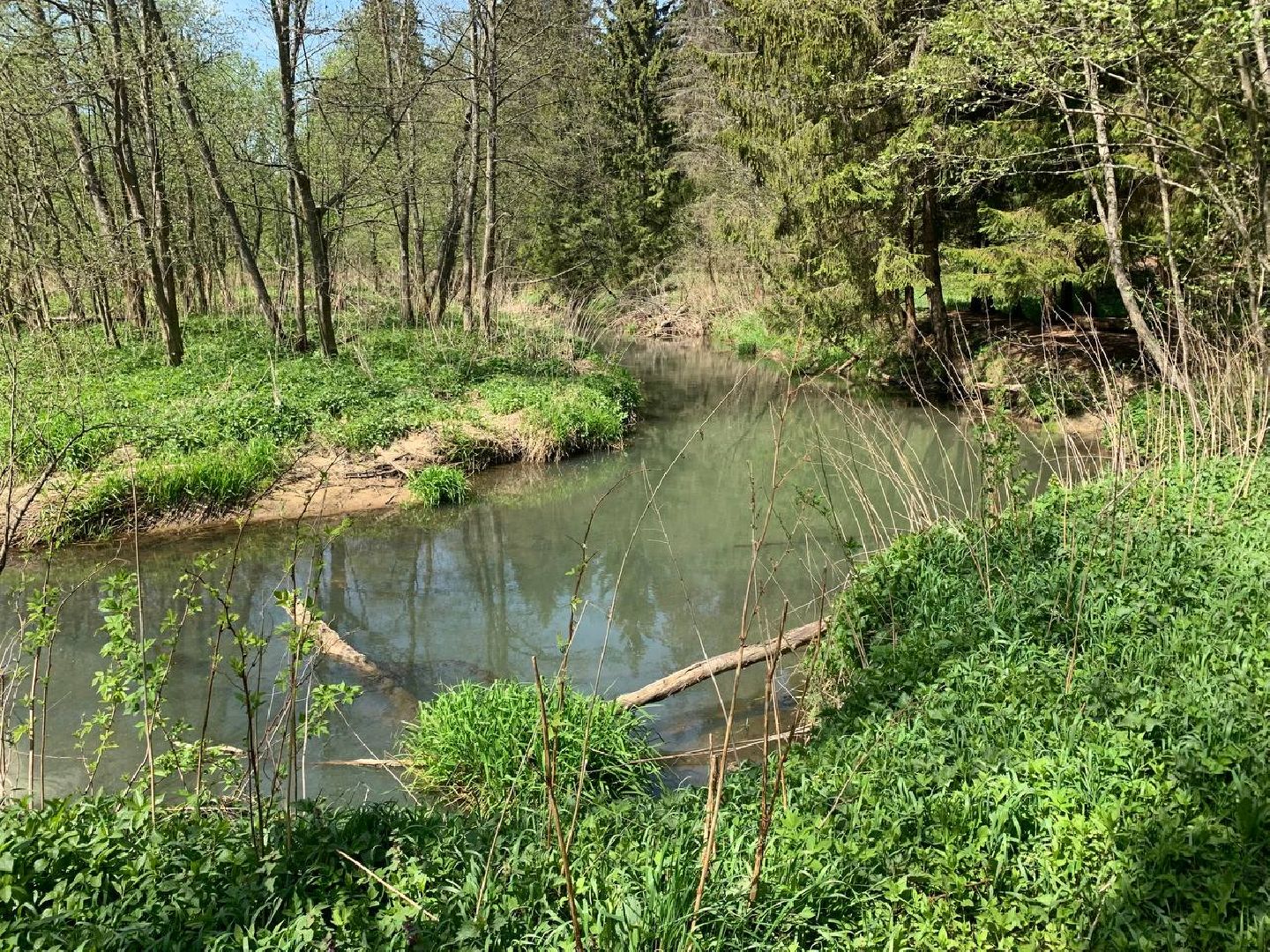 Звенигород, туризм, Звенигородский музей-заповедник, музей С.И. Танеева в Дютькове, туристический маршрут, пешие прогулки, экскурсии