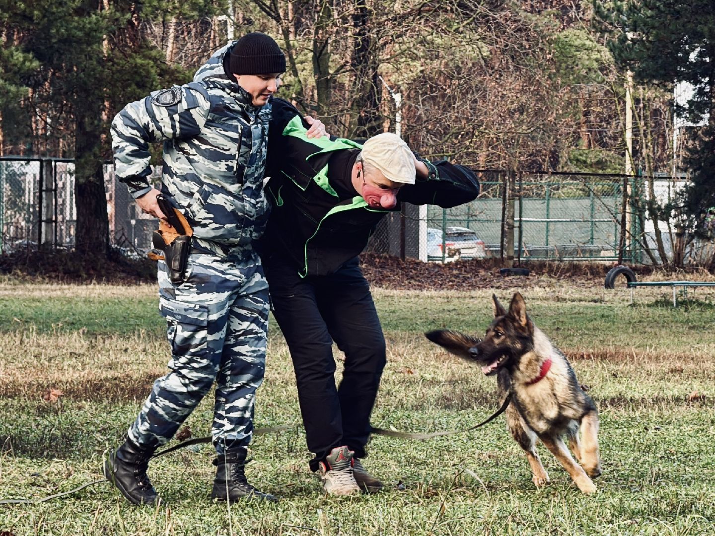 раменское, кинологи, служебные собаки, служебная собака, полиция, полицейские,